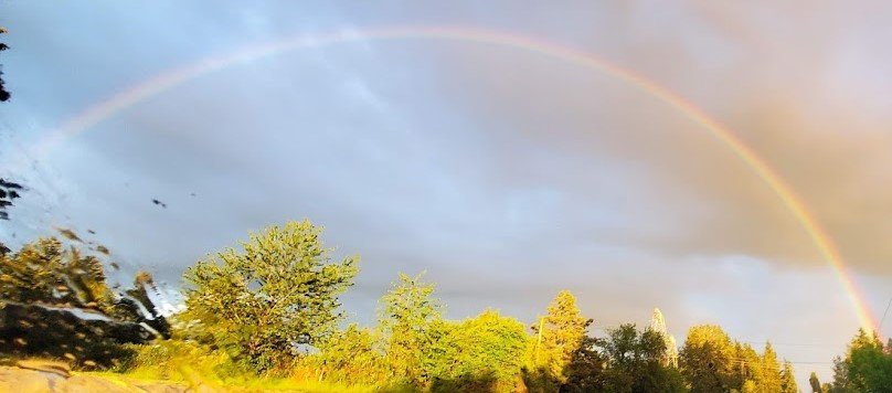 Rainbows 23 - 20200522_201549 (2).jpg