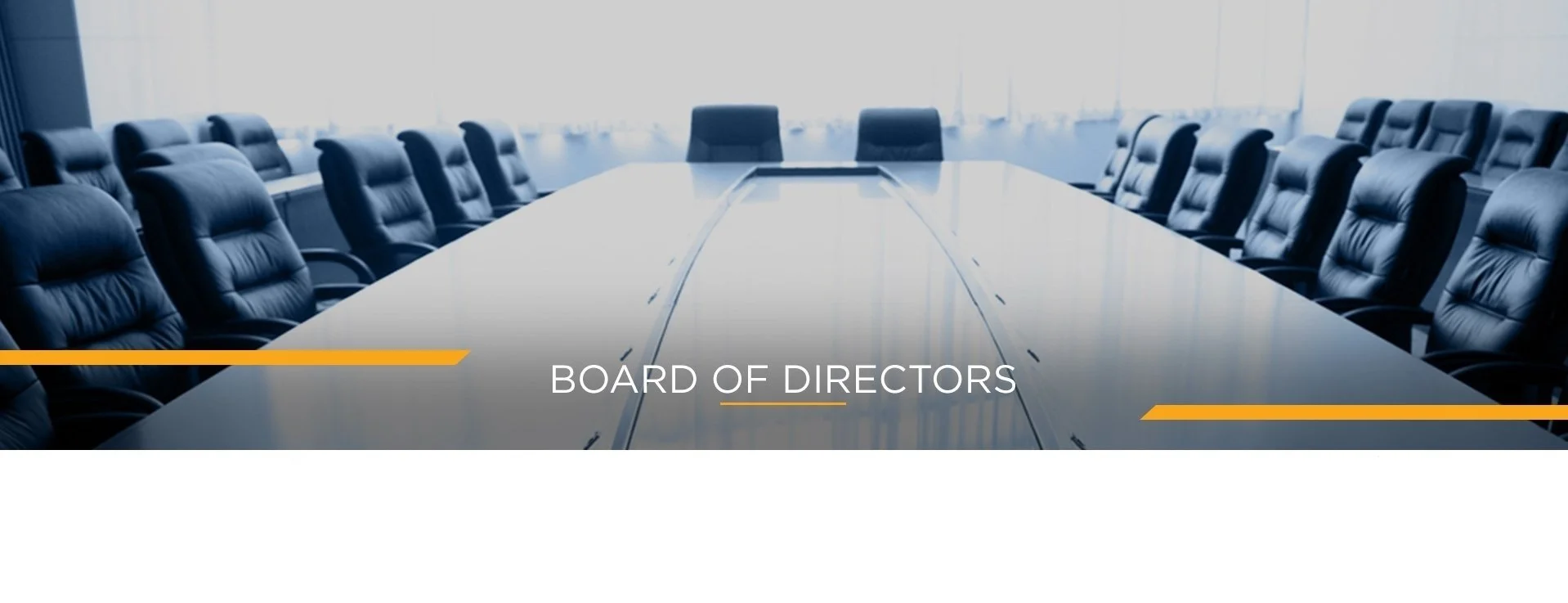 Board-Of-Directors+22.jpg