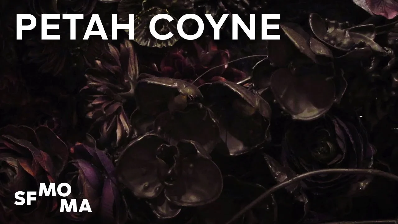 PETAH COYNE