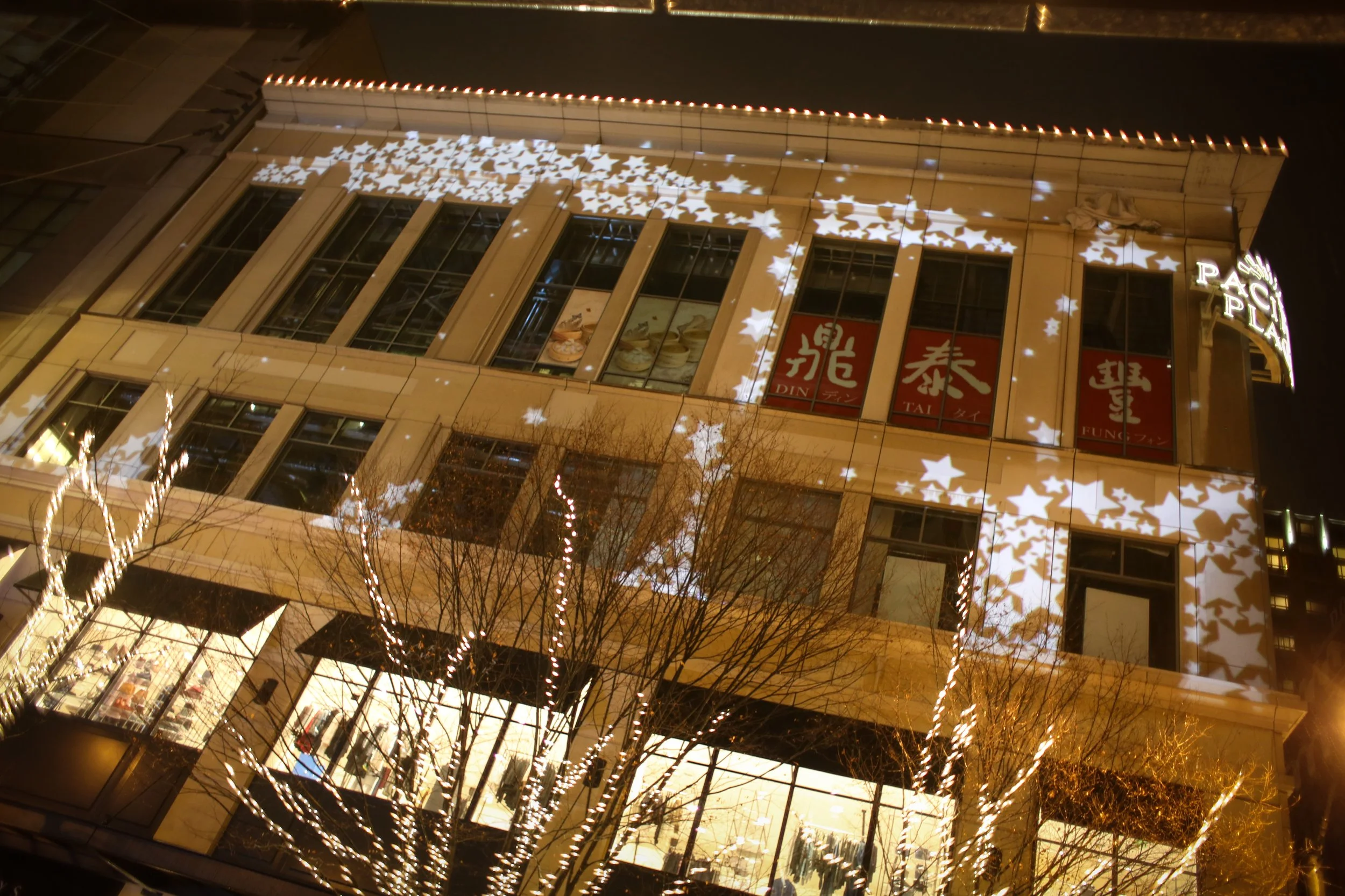 Lumenarius - Pacific Place Shopping Center - Seattle WA - 3D Projection Mapping Systems - Gallery 00002.JPG