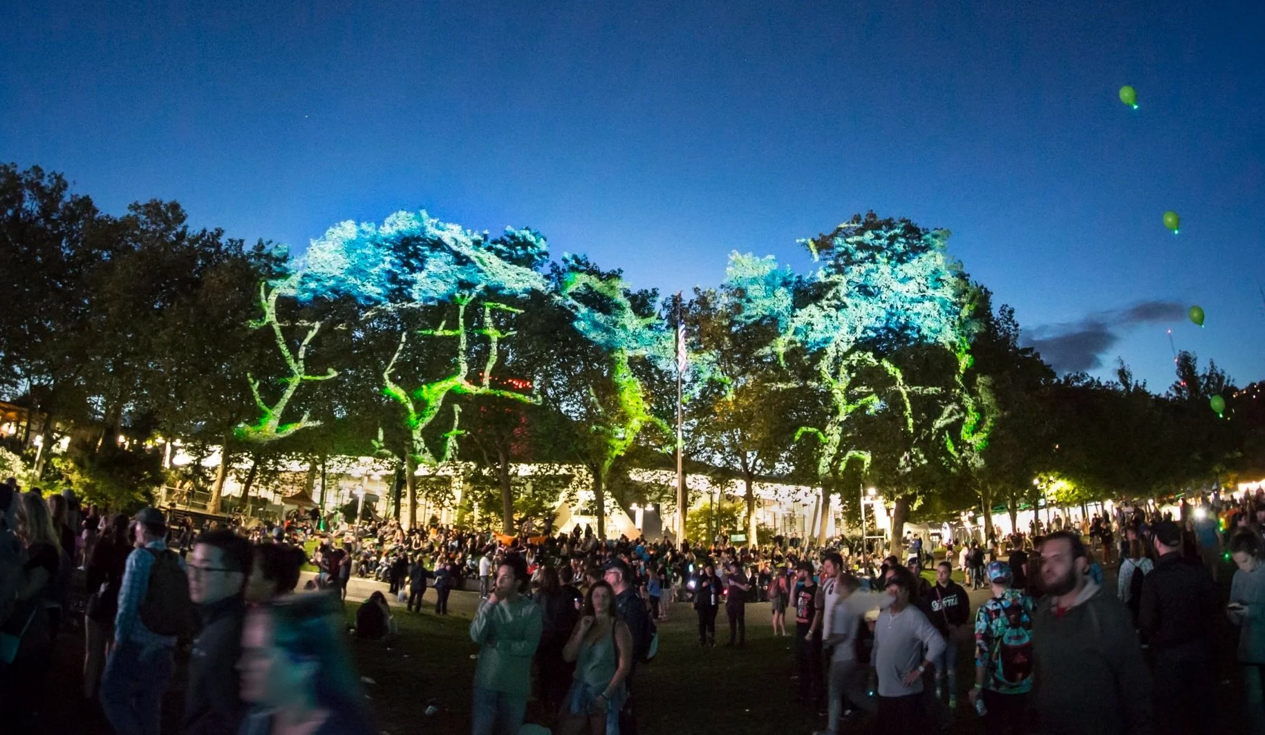 3D PROJECTION MAPPING ON LEAFY GREEN TREES FOR BUMBERSHOOT MUSIC FESTIVAL
