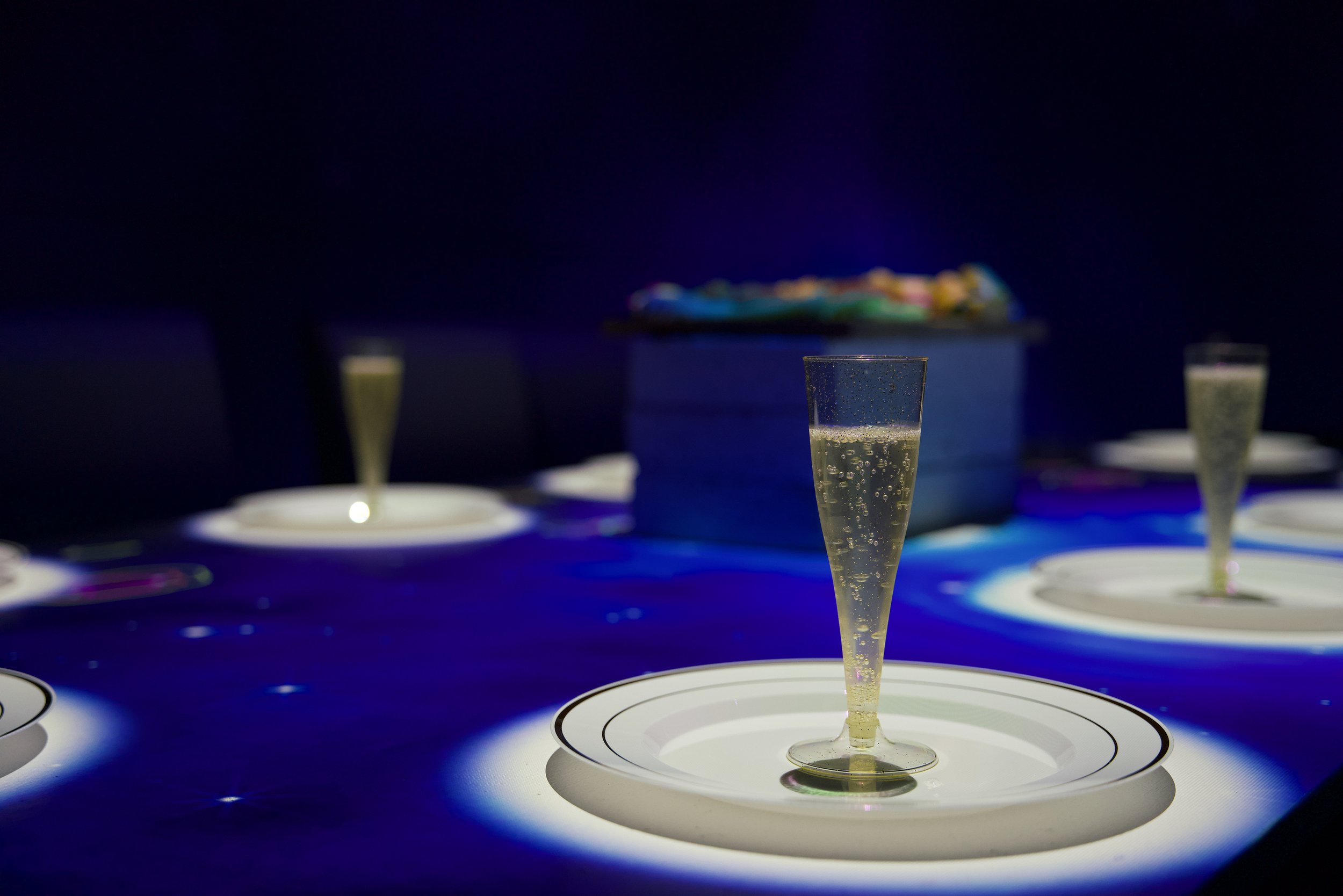 Lumenarius 3D Projection Mapping System - 360 Immersive Dinner Table Projection Mapping Experience - Grid 2.jpeg