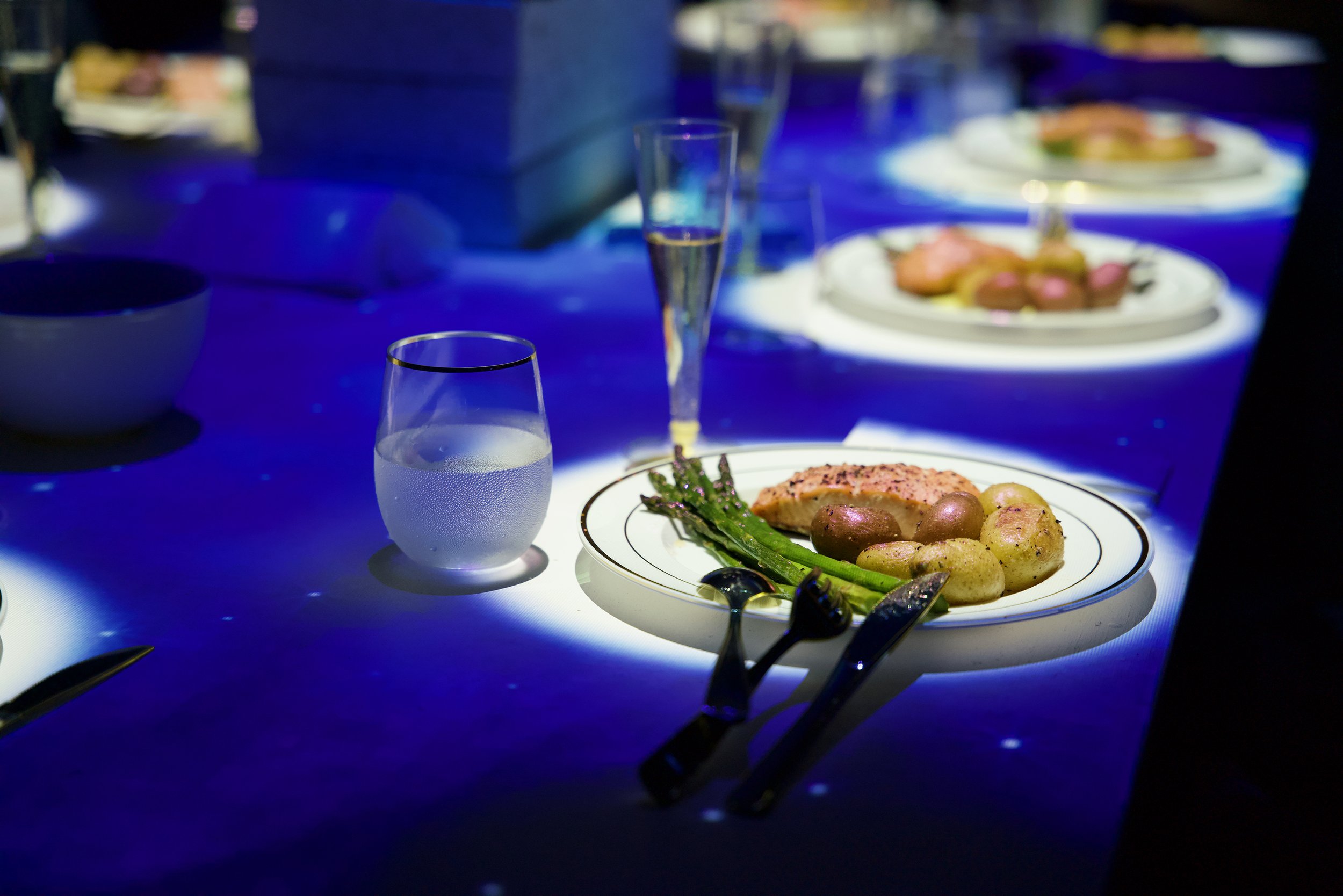 Lumenarius 3D Projection Mapping System - 360 Immersive Dinner Table Projection Mapping Experience - Experience 5.jpeg