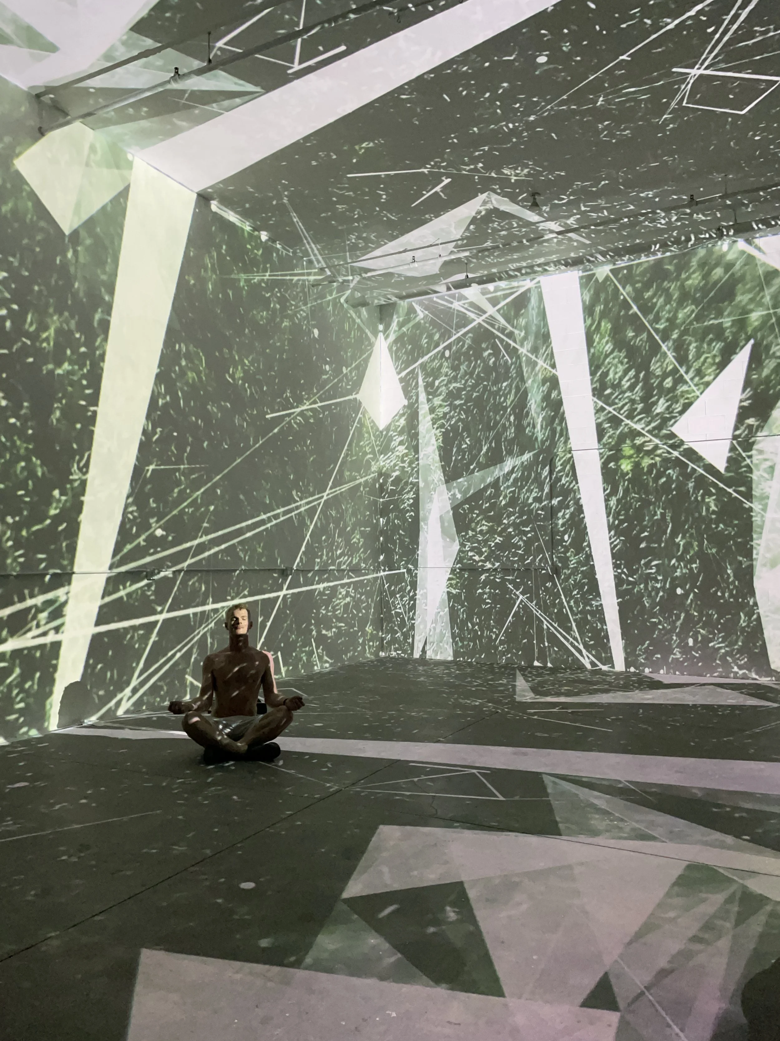 Lumenarius 3D Projection Mapping System - 360º Immersive Projection Mapping Room - Experience 1.JPG