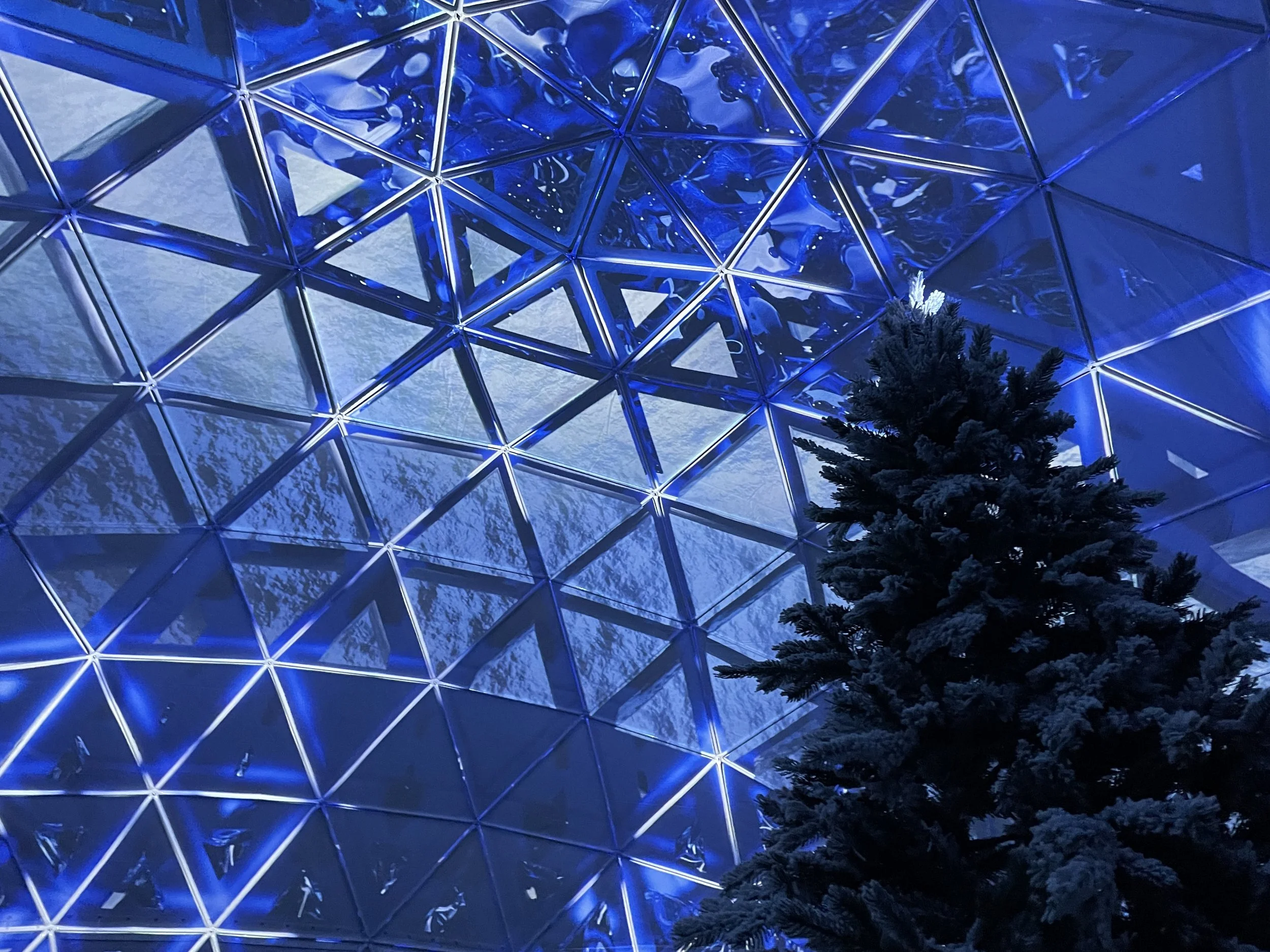 Lumenarius 3D Projection Mapping System - Hi Lawn The Dome DC Immersive Projection Mapping Lounge - Gallery 7.JPG