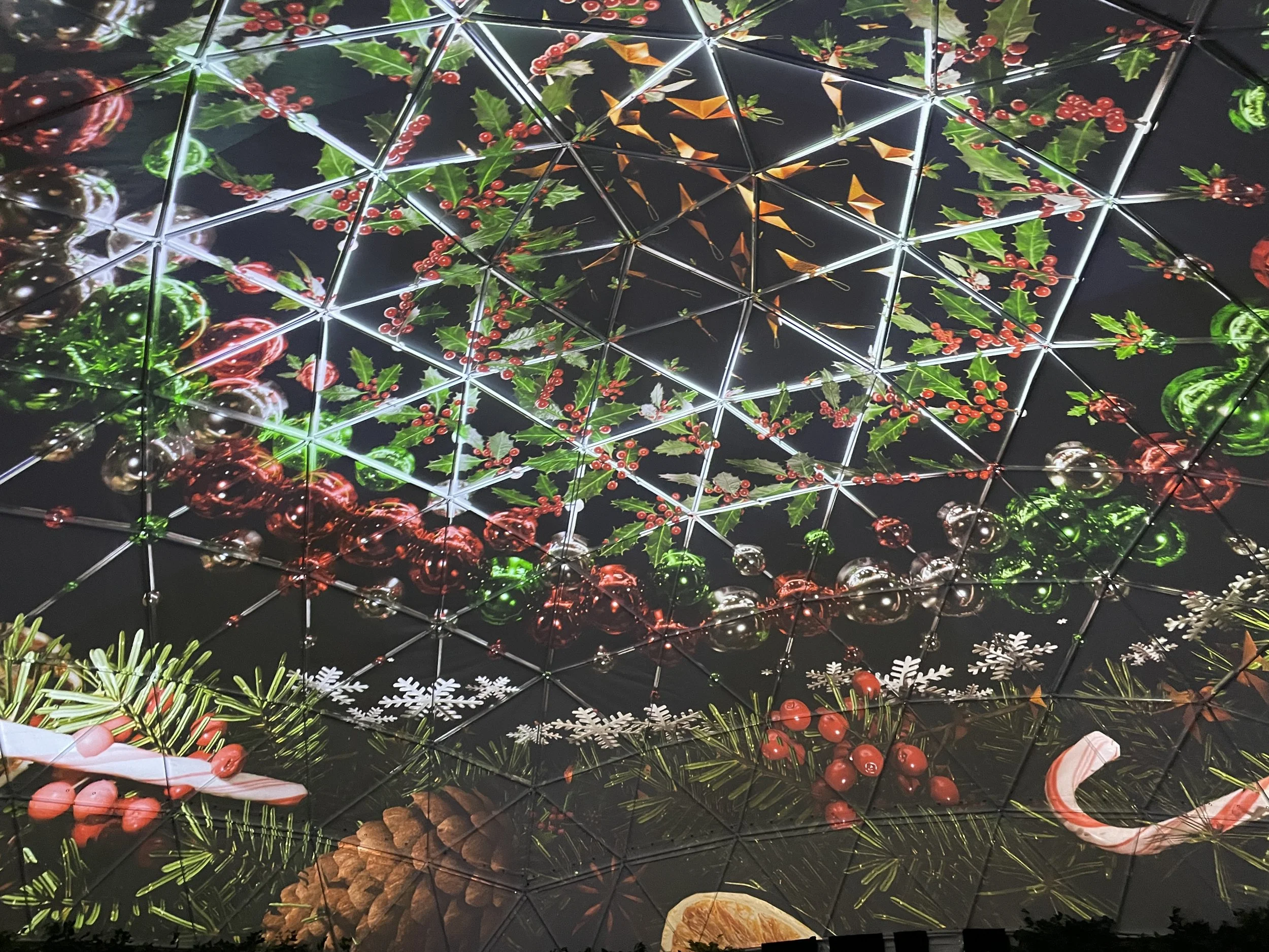 Lumenarius 3D Projection Mapping System - Hi Lawn The Dome DC Immersive Projection Mapping Lounge - Gallery 9.JPG