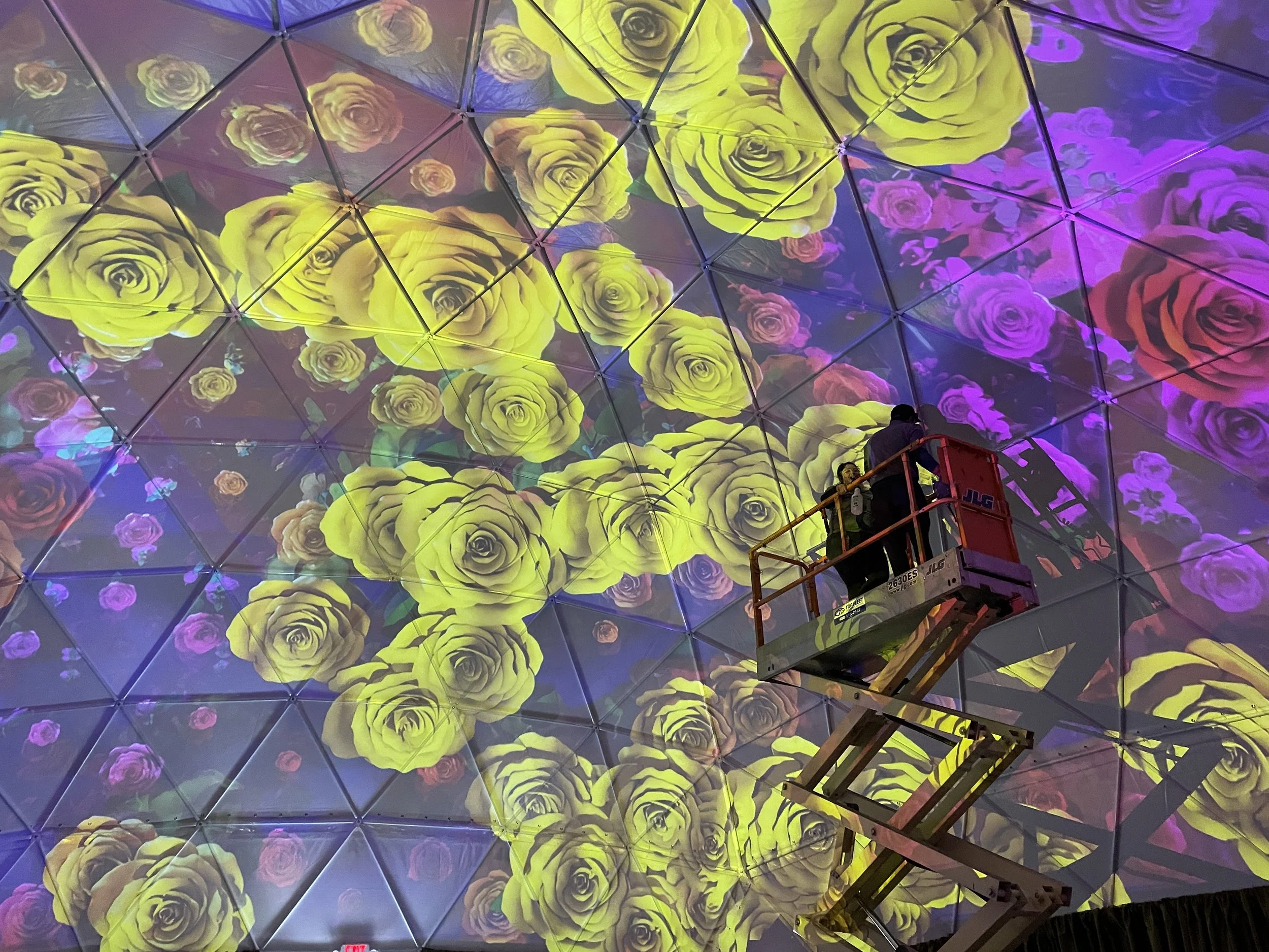 Lumenarius Projection Mapping Company - Immersive Dome Projection Mapping - Gallery 6.JPG