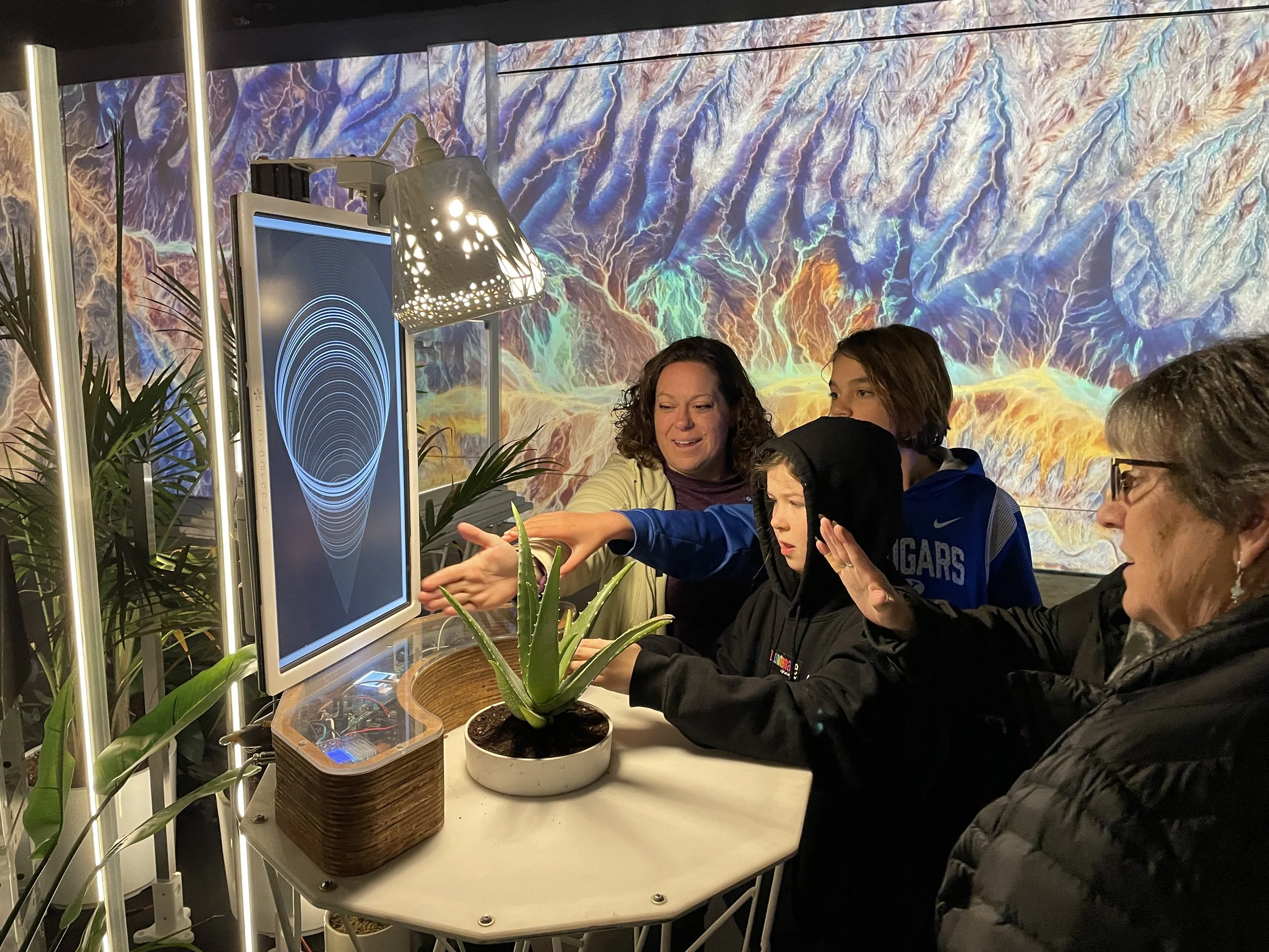 Lumenarius Projection Mapping Company - Interactive Light Art Installation Floragraph - Gallery 2.JPG