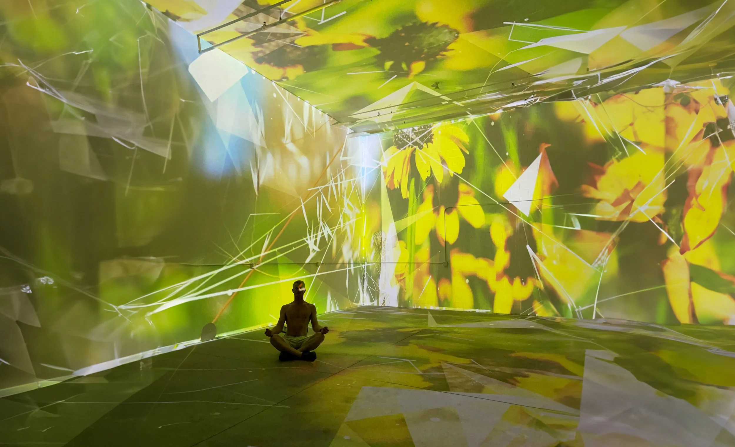 In House 360 Immersive Projection - Lumenarius 3D Projection Mapping System 360%C2%BA Immersive Projection Mapping Room Experience 4