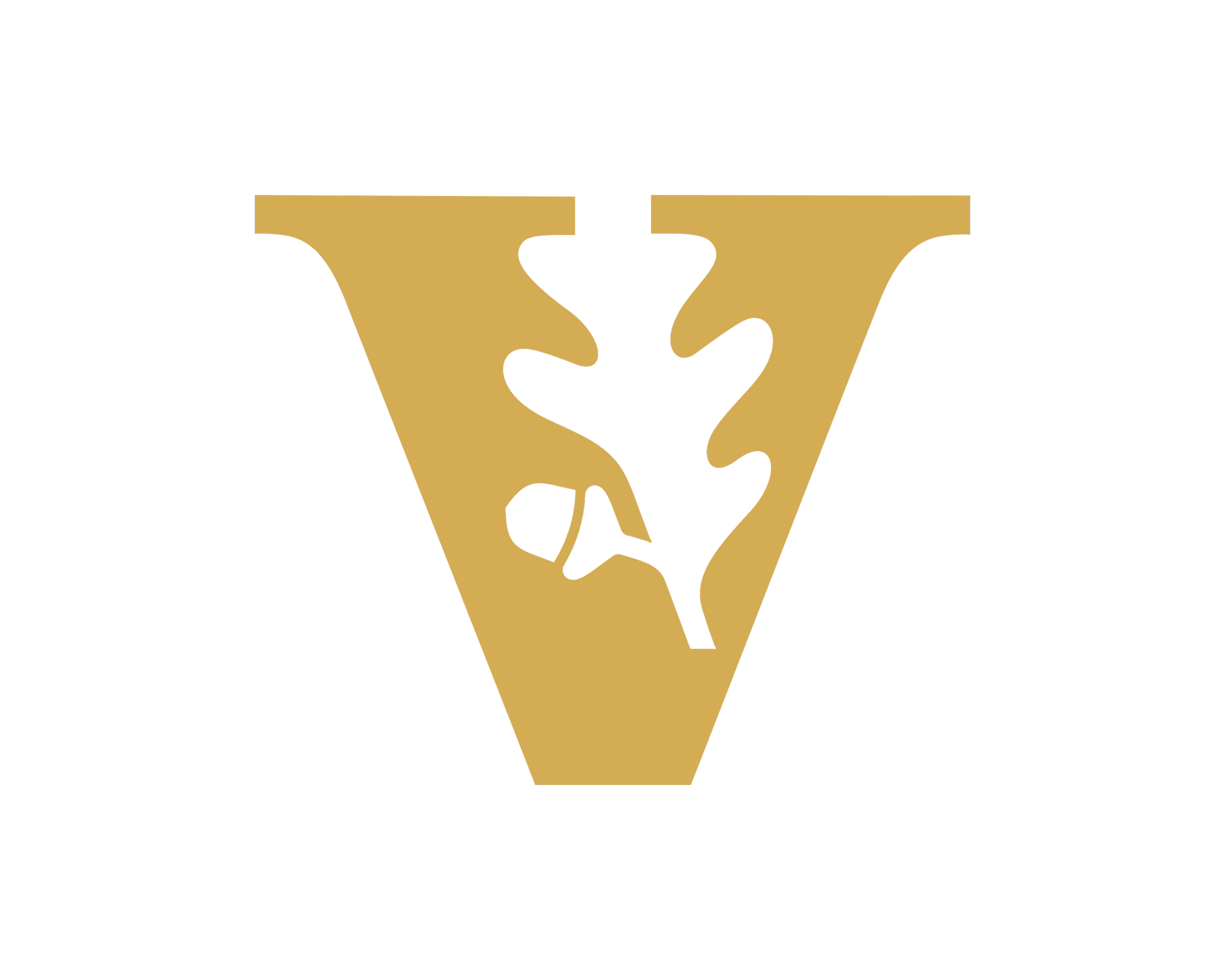 Vanderbilt-Logo.png