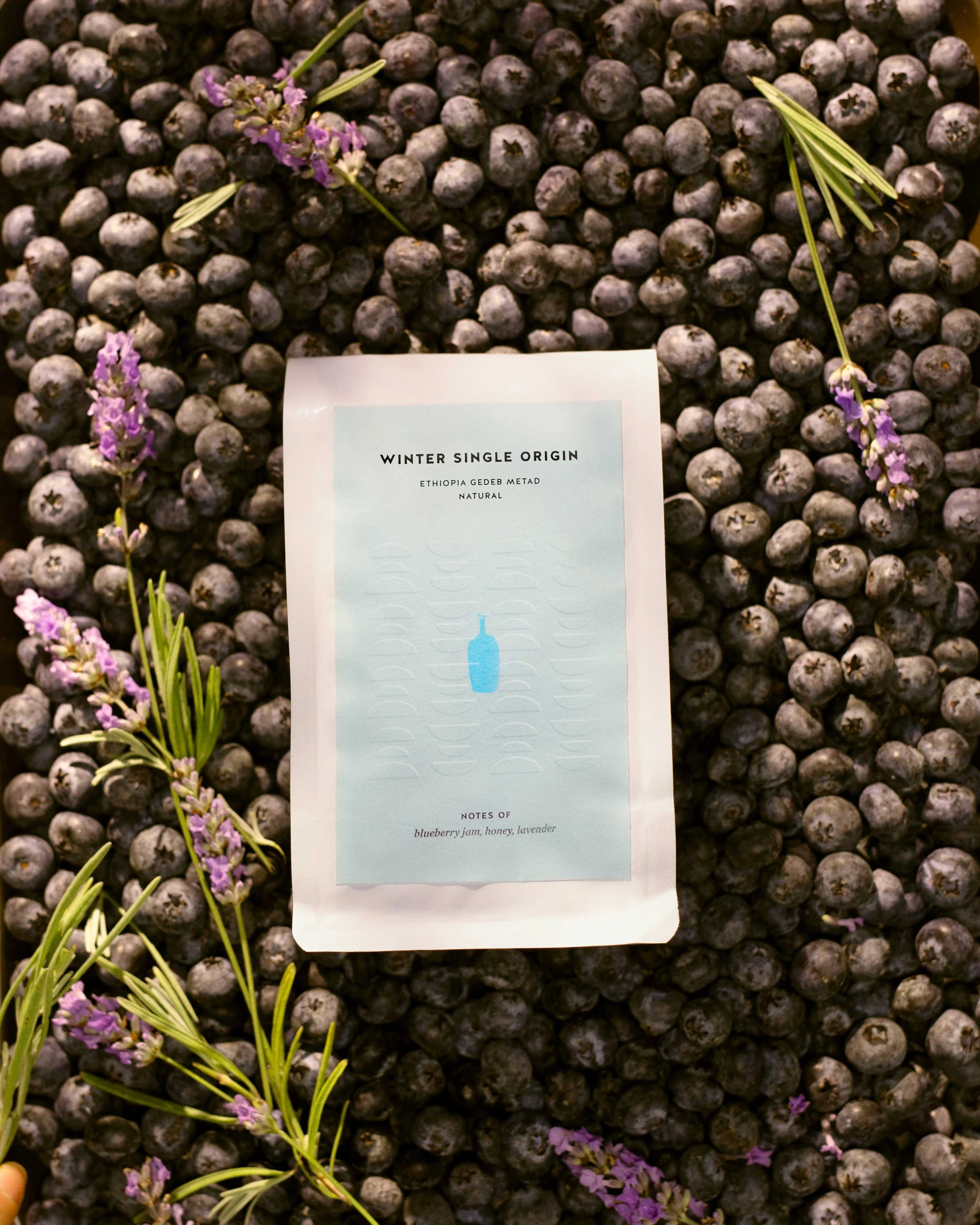 Matcha Shoot4177_web.jpg