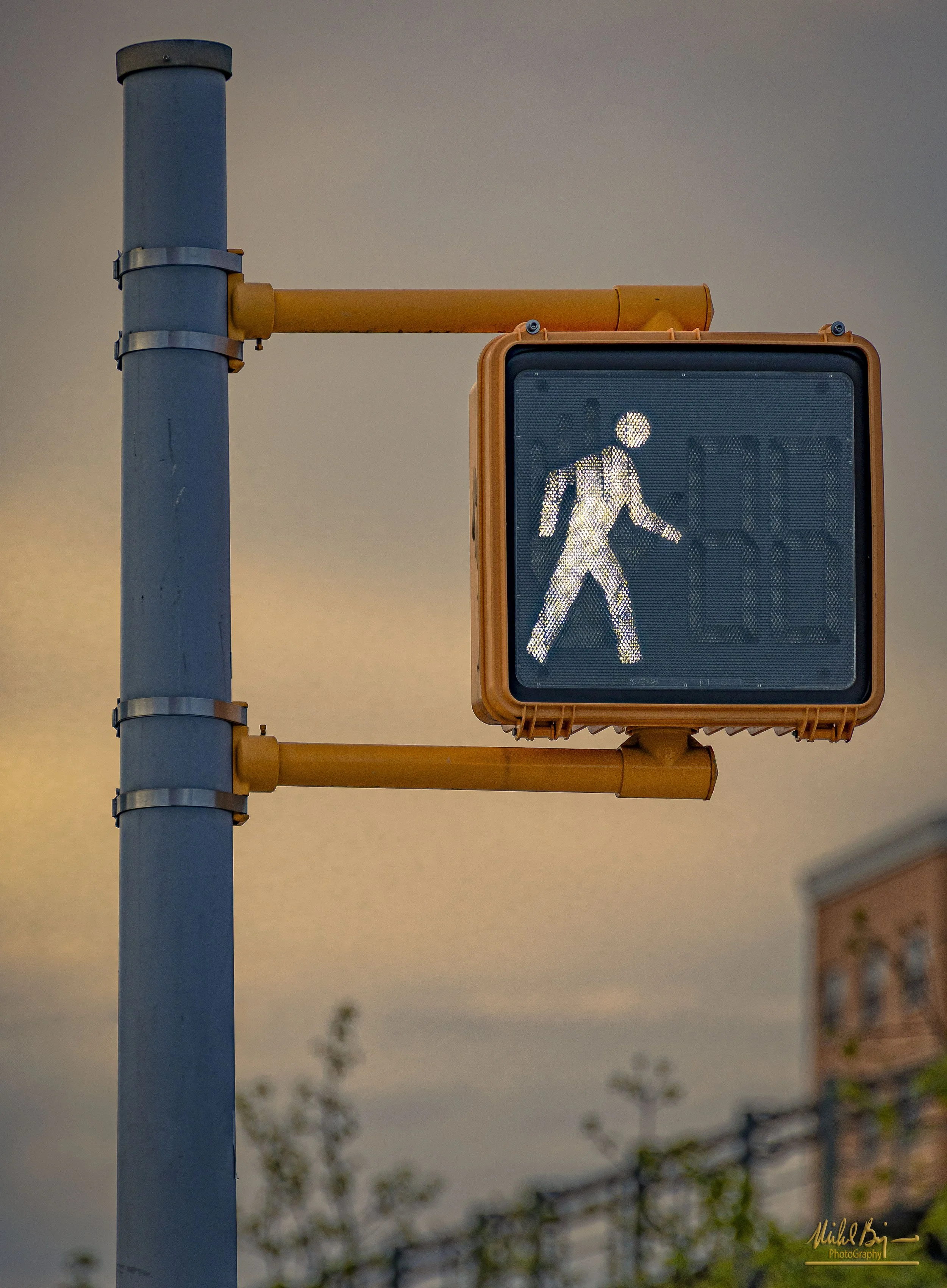 Walk.jpg