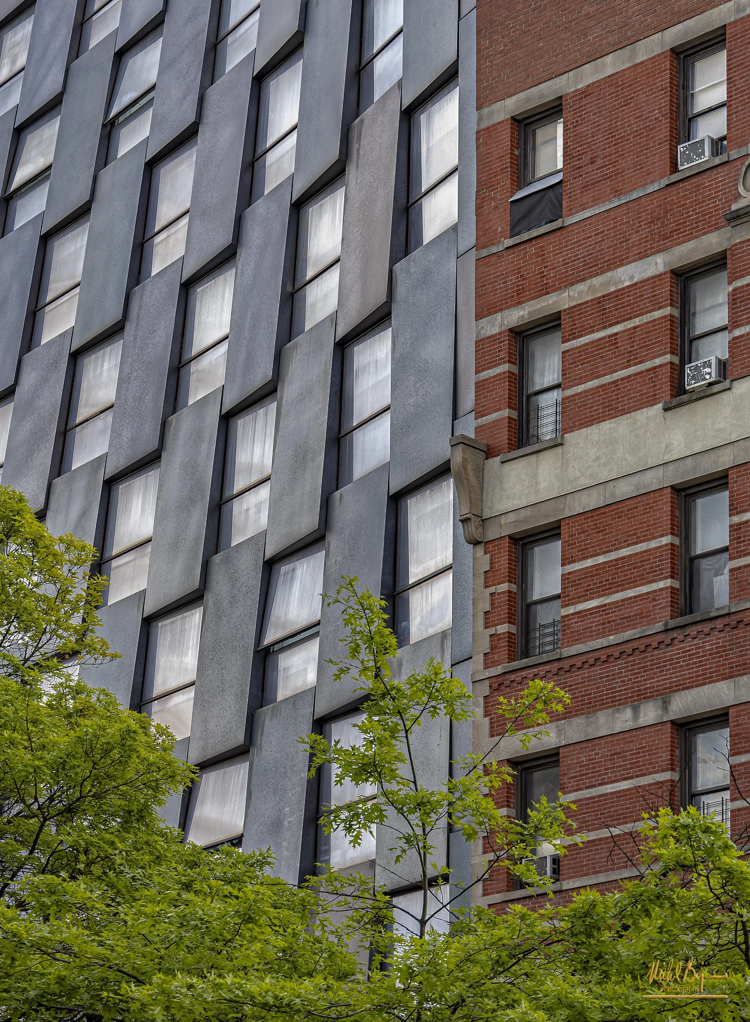Contrast Between Facades.jpg