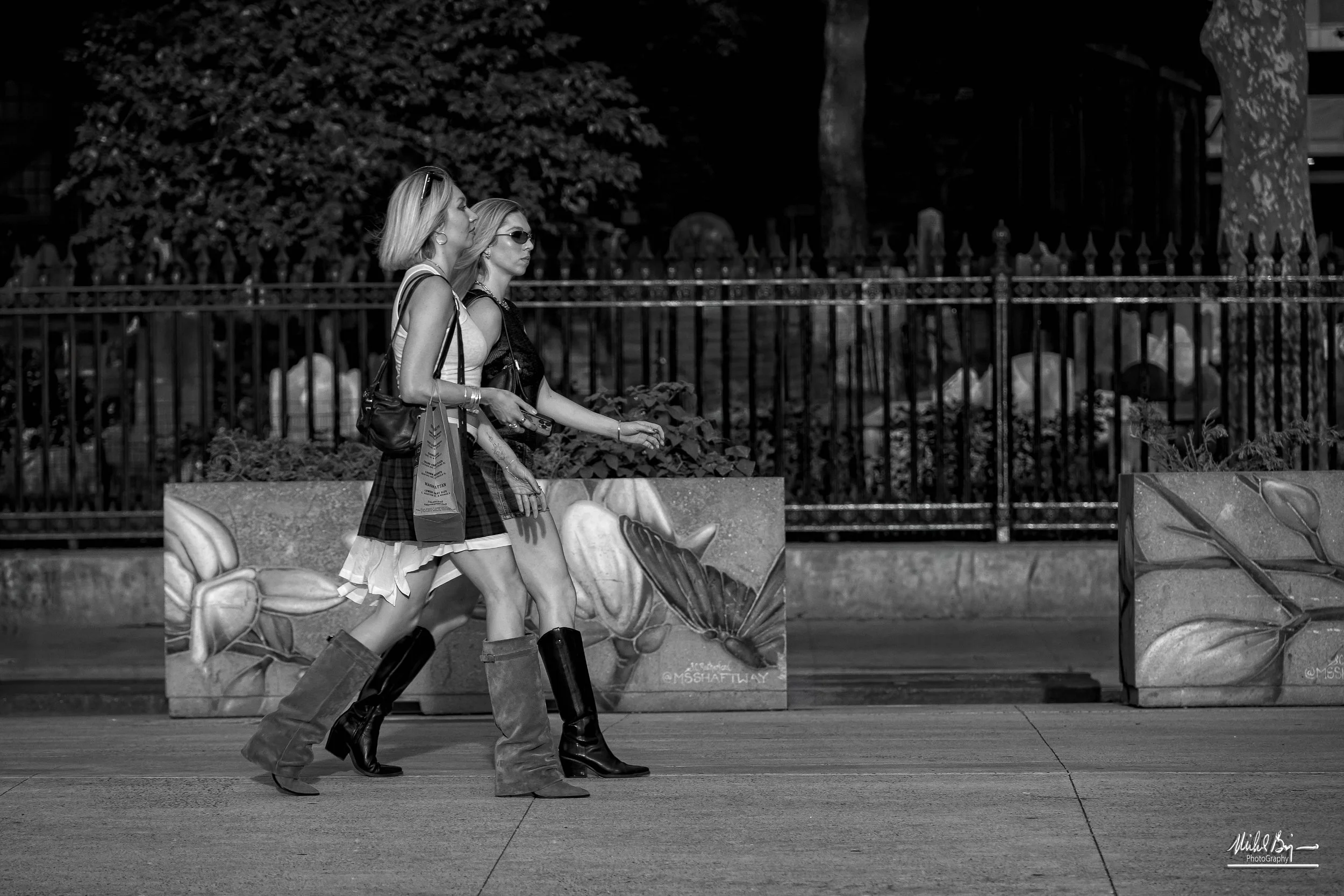 The Strut.jpg