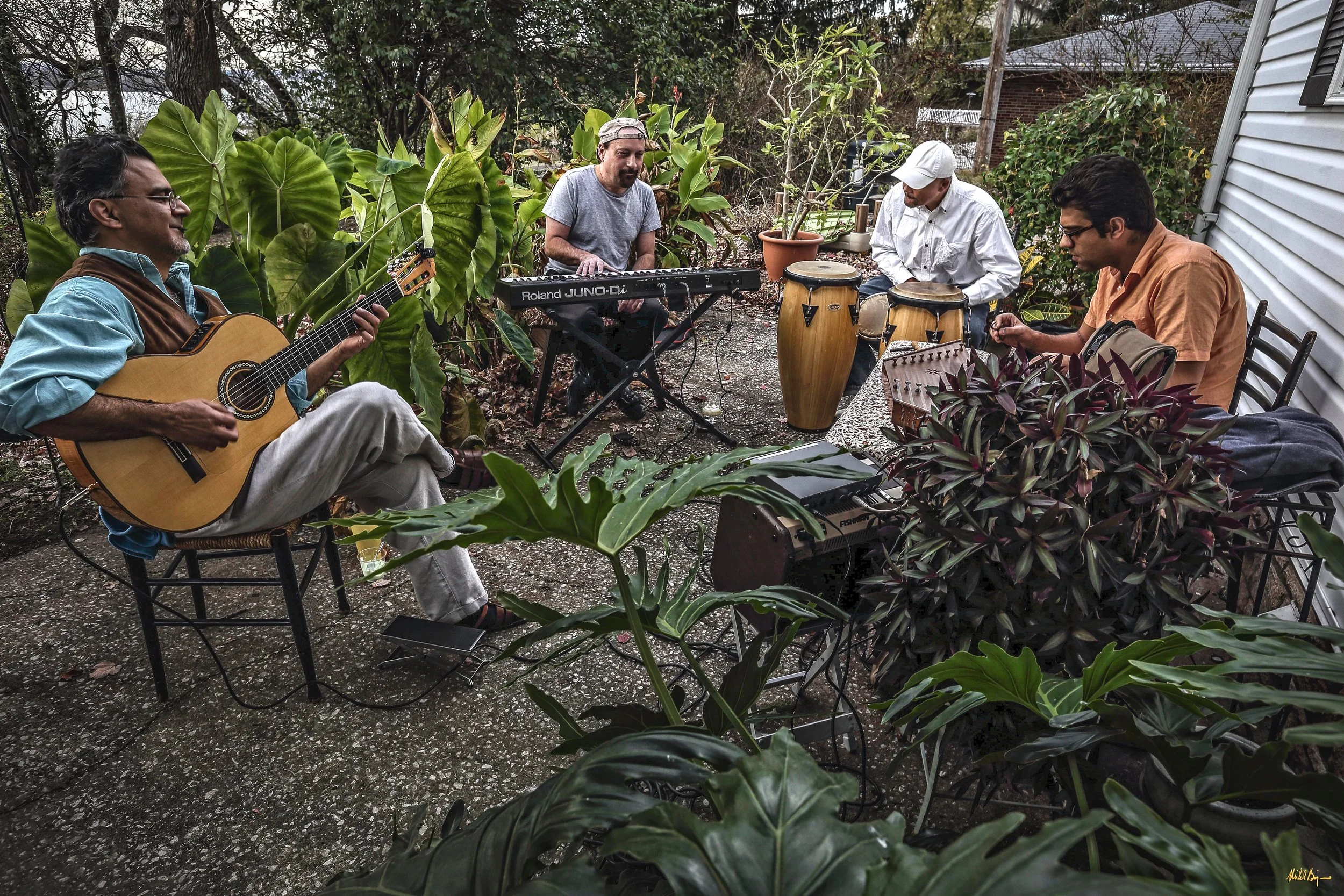 Backyard Jammin.jpg