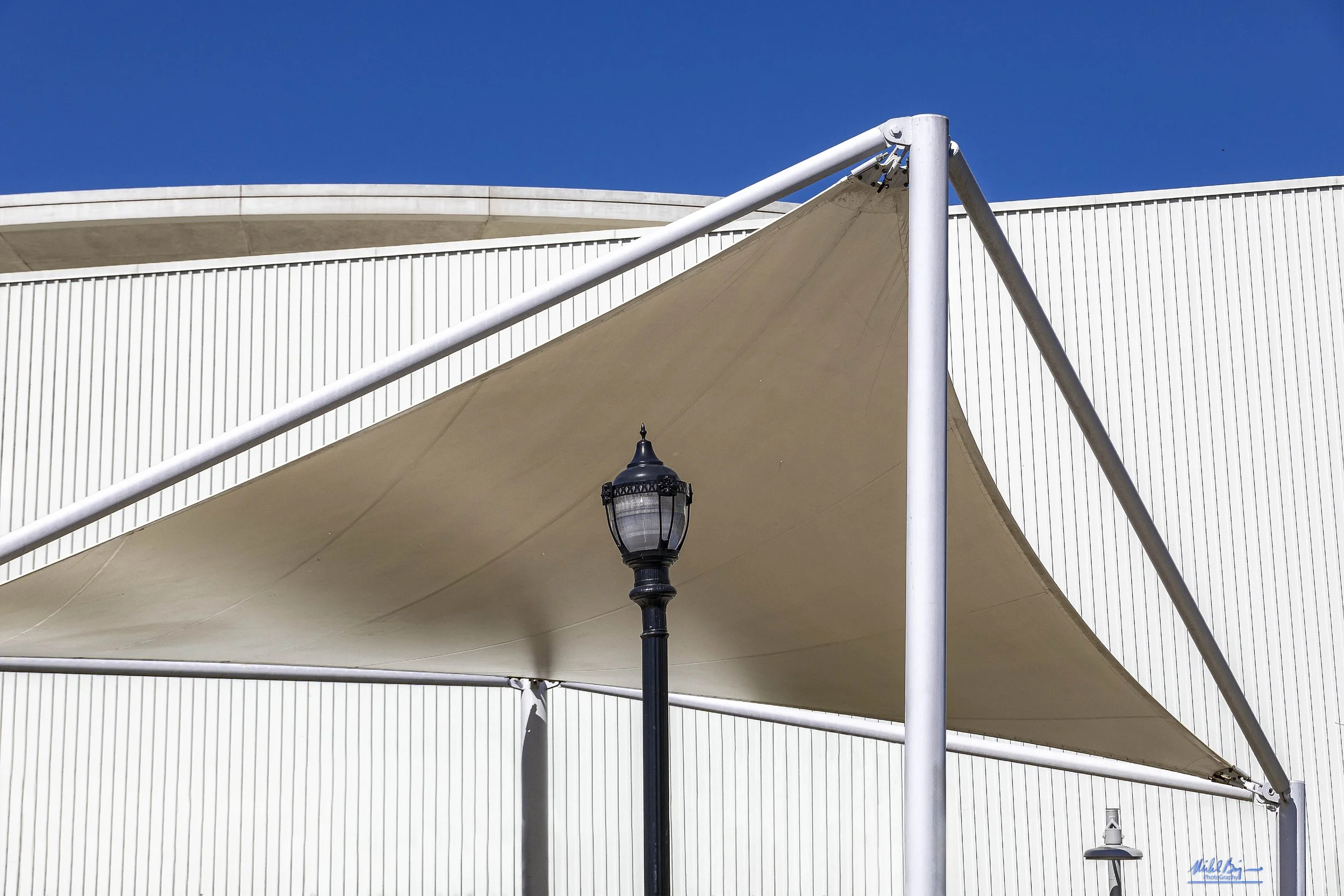 Canopy and the Light.jpg