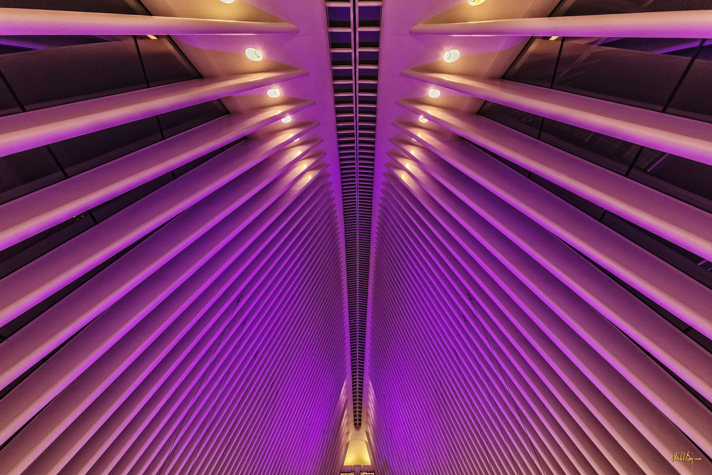Purple Trade Center Roof.jpg