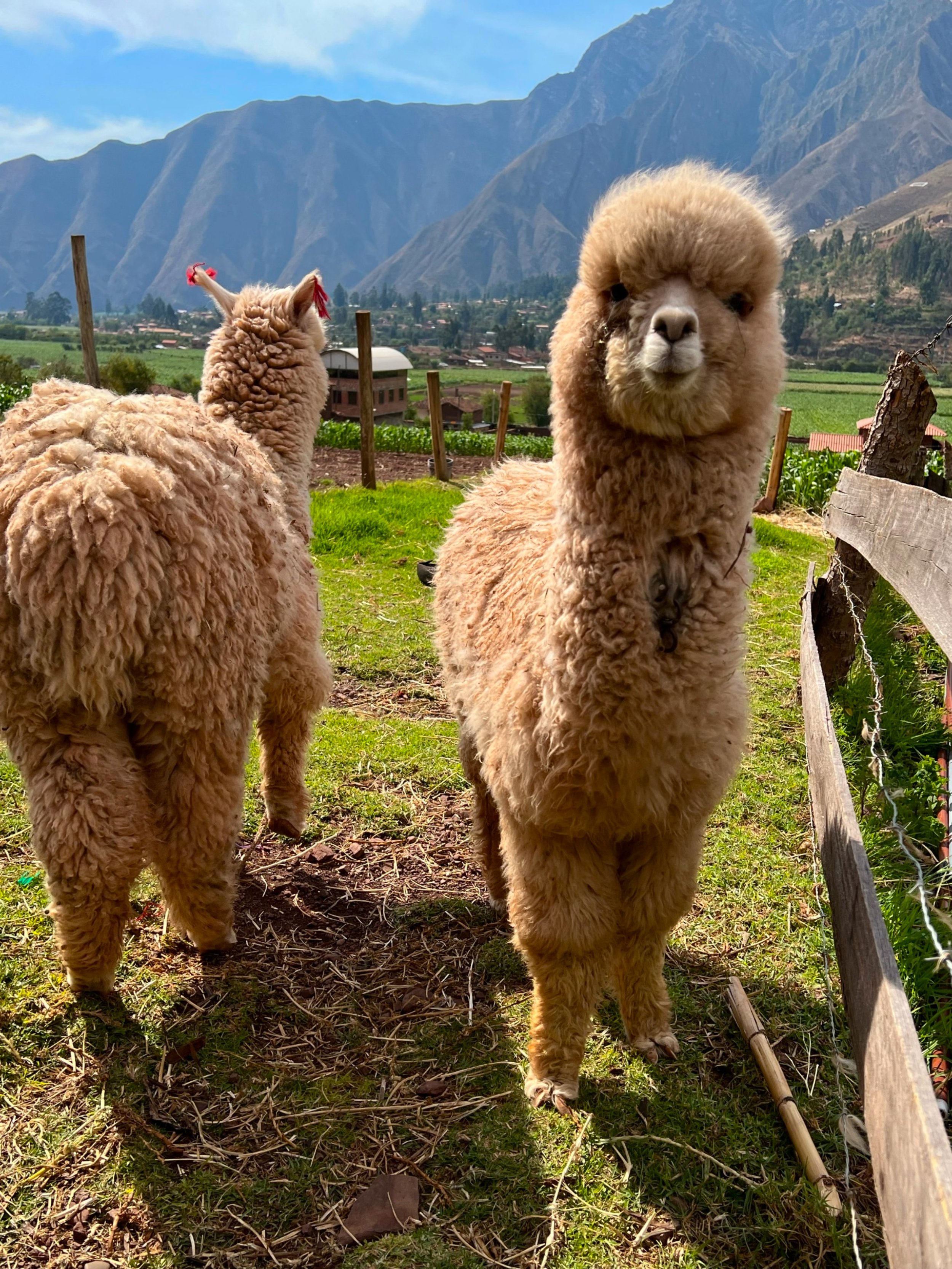 GPTempDownload 8 copy.JPG