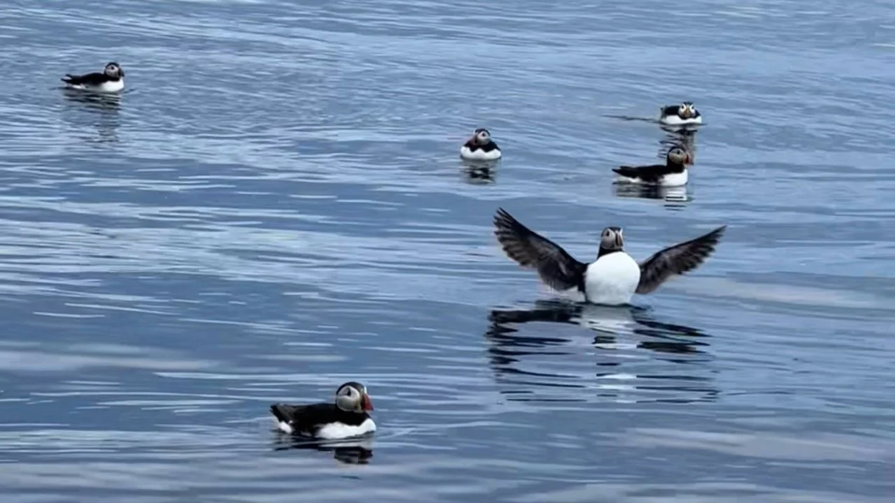 GPTempDownload 18.JPG