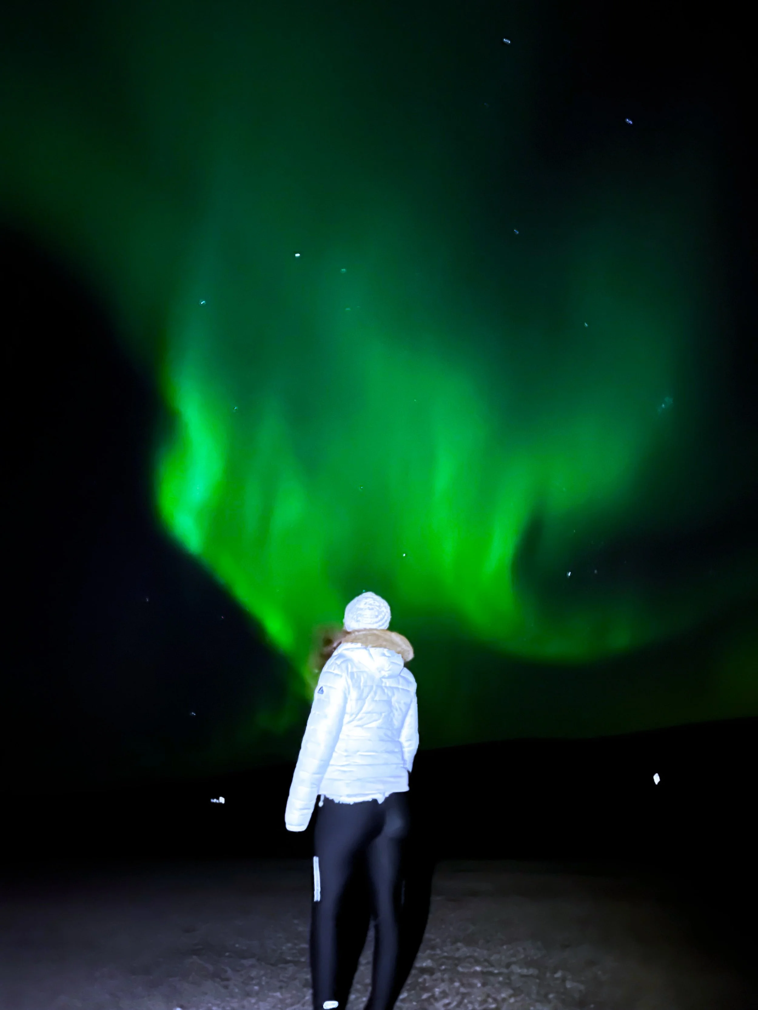 GPTempDownload 2.JPG