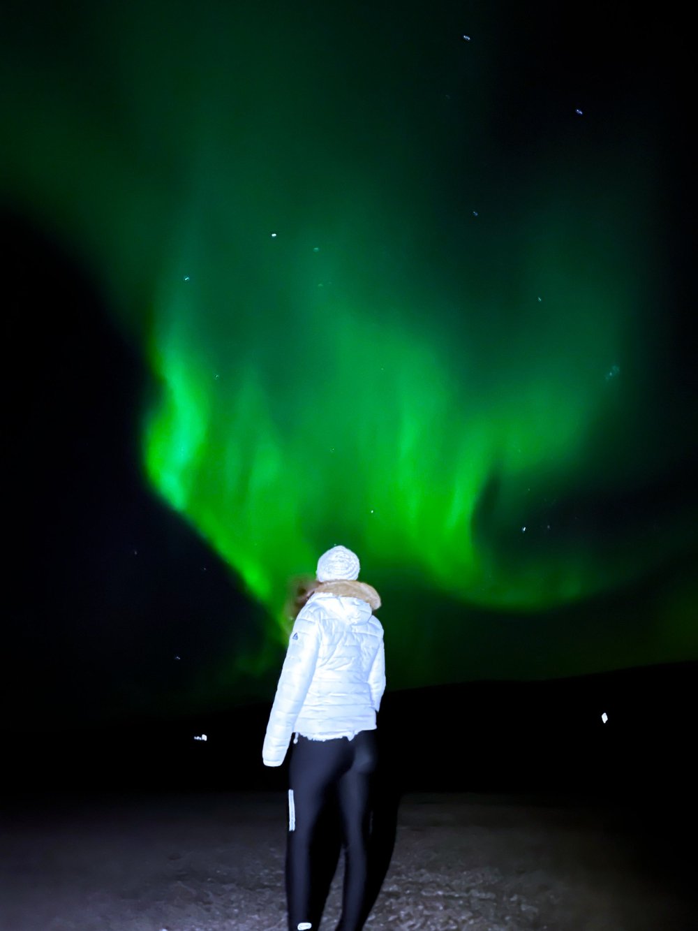 GPTempDownload 2.JPG