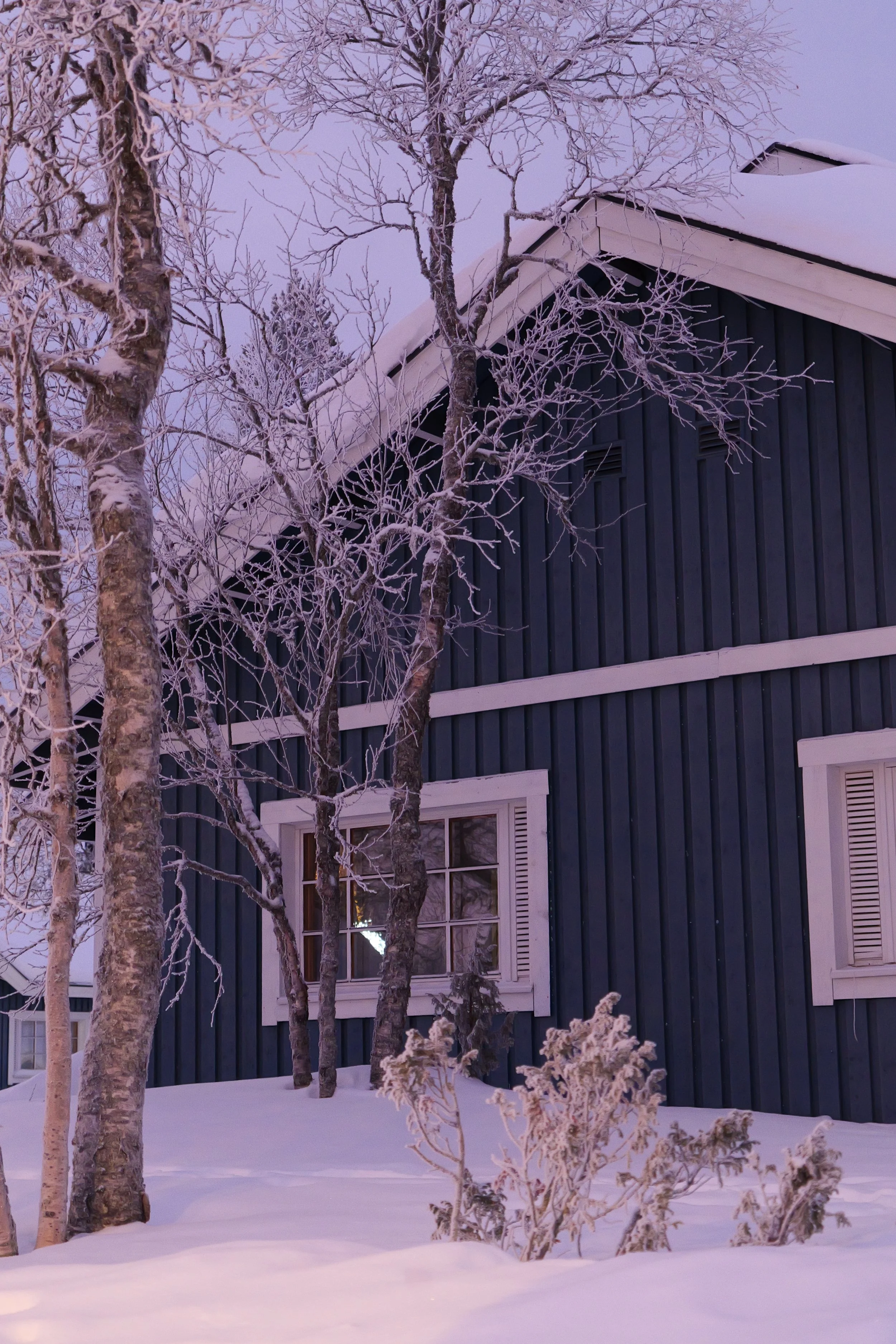 P1024166.JPEG