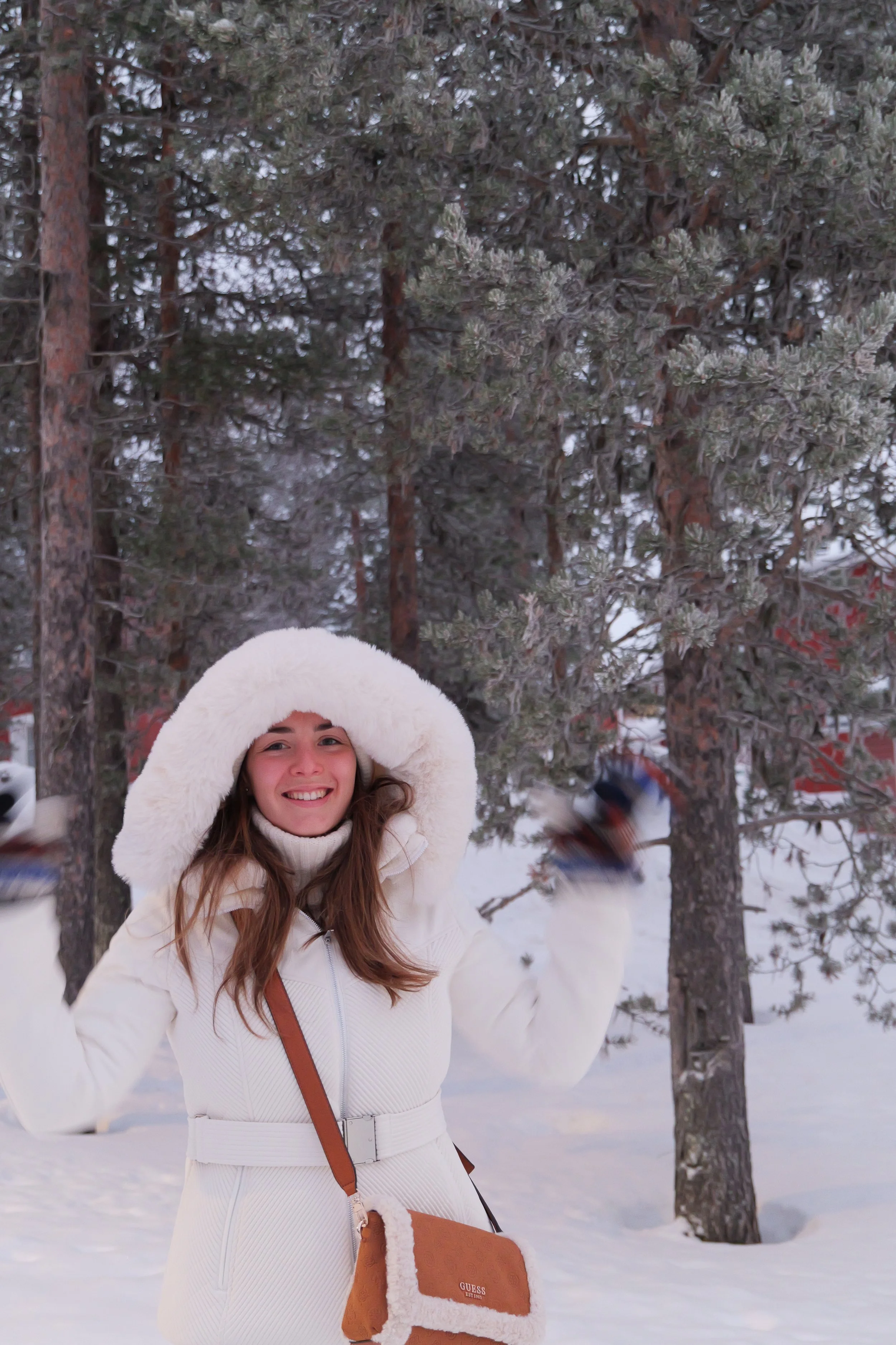 Lapland, The Finnish Winter Wonderland