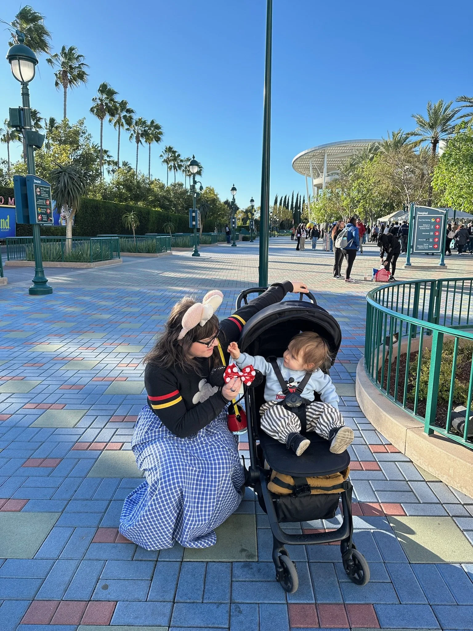 Disneyland! With a toddler!
