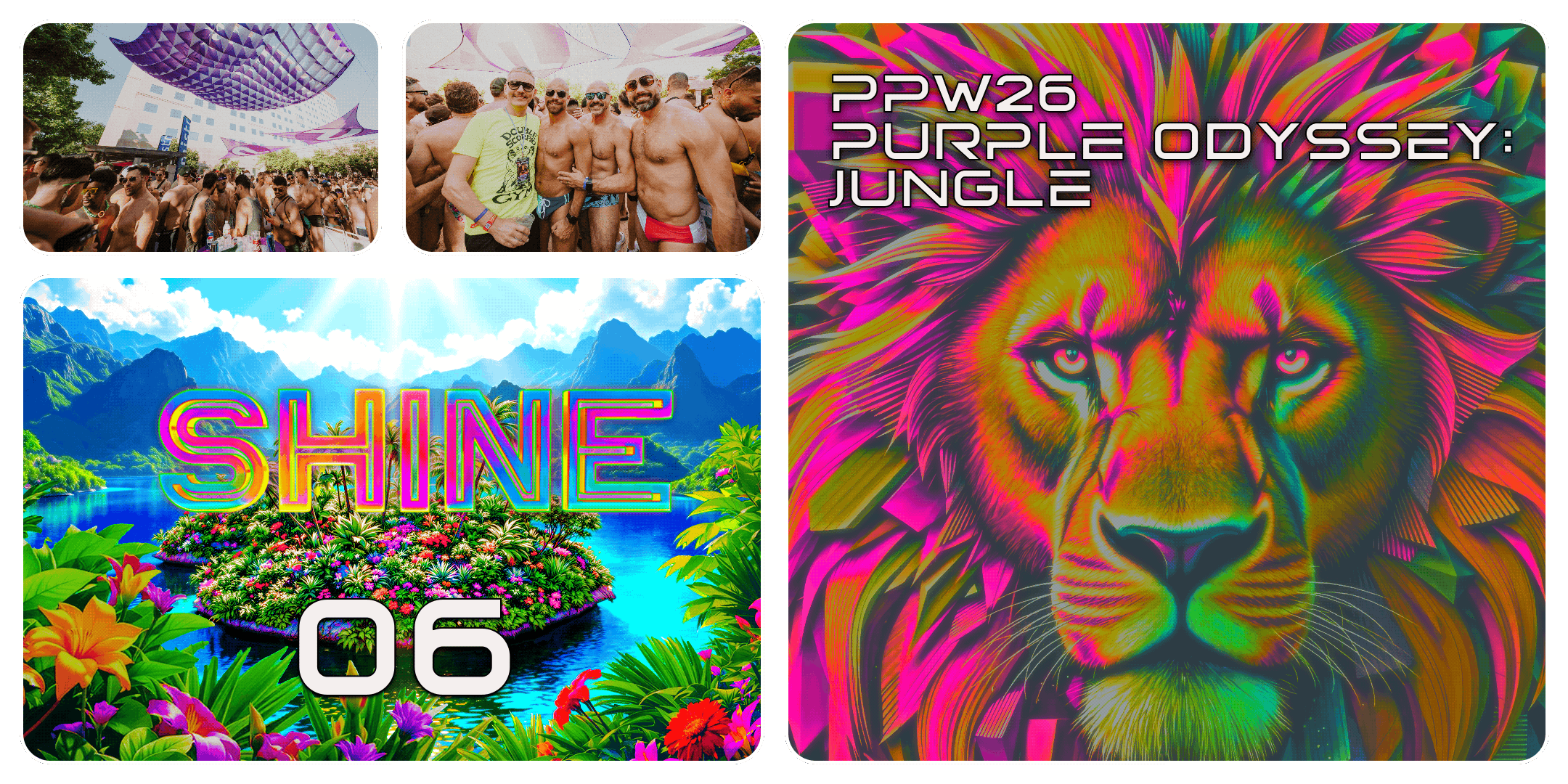 PPW26 PHOTO BENTO-06 SHINE.png