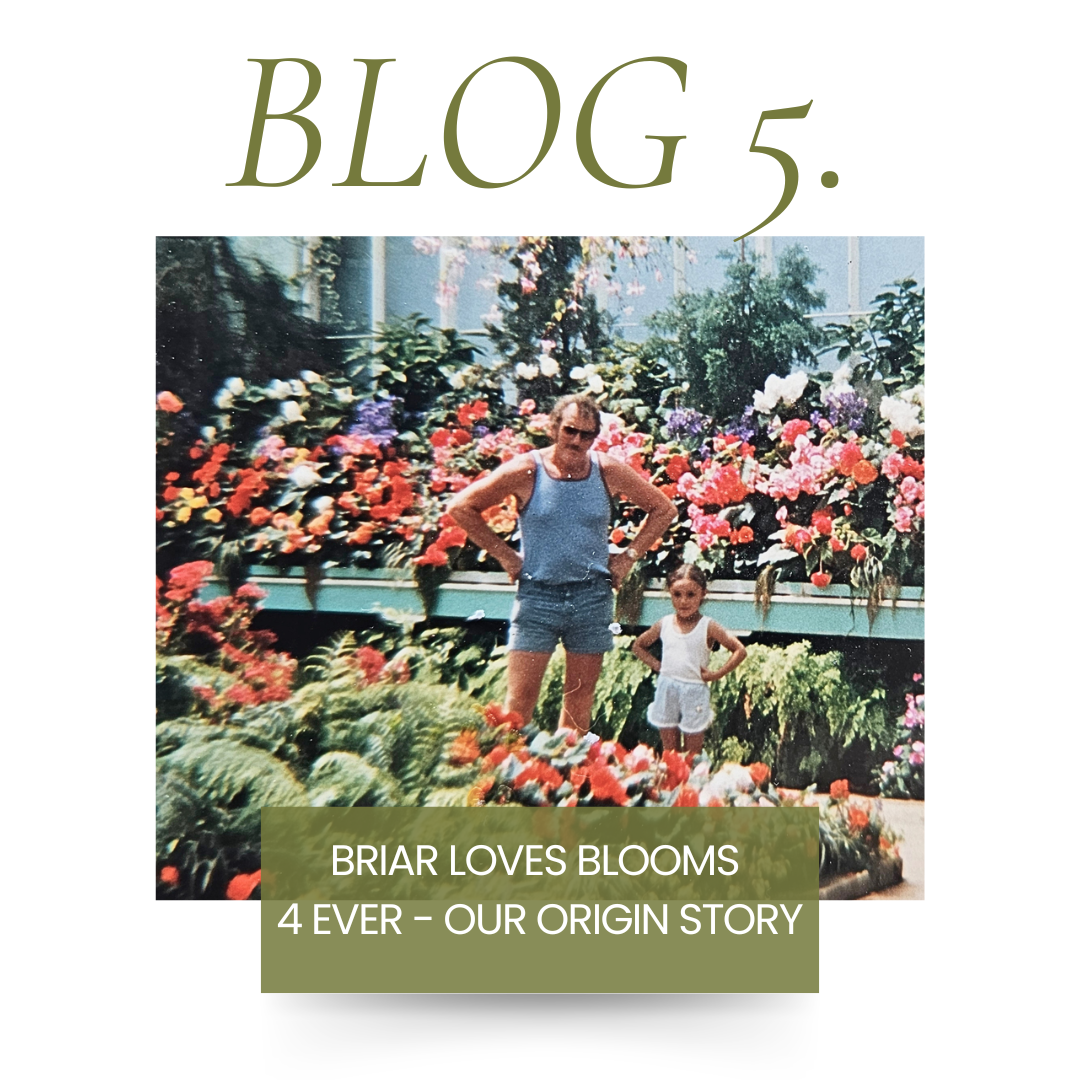 Briar LOVES Blooms 4ever - Our origin story