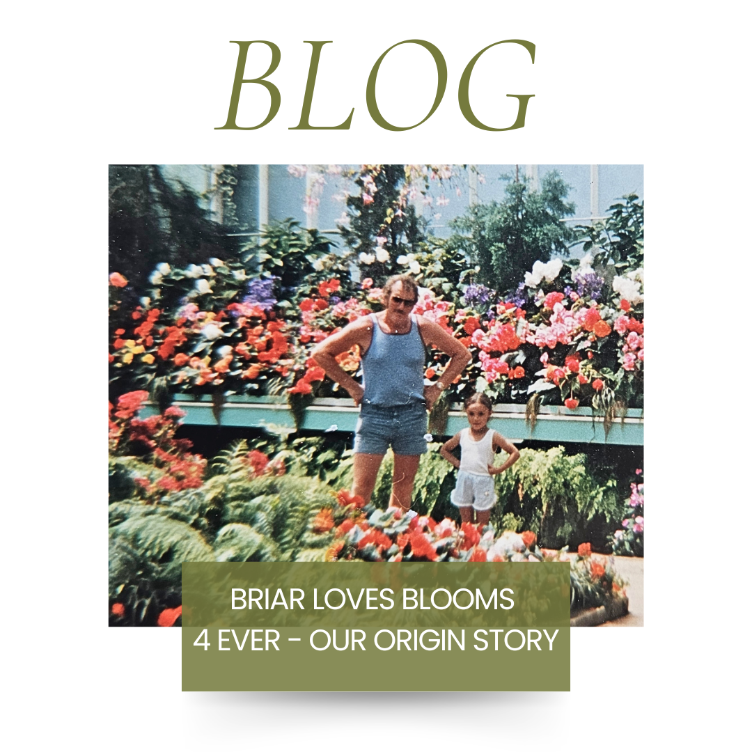 Briar LOVES Blooms 4ever - Our origin story