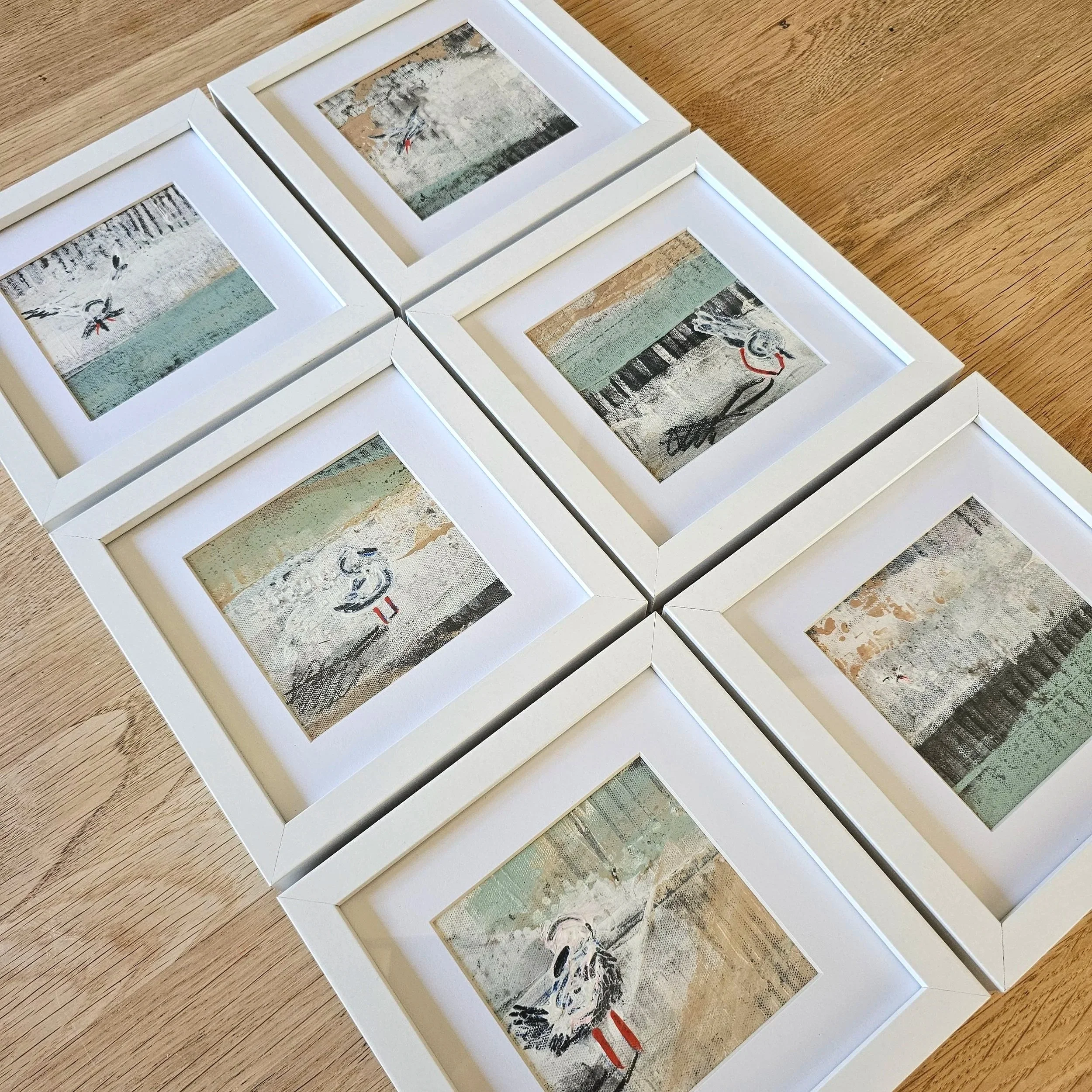 A day with a seagull - 6 studies