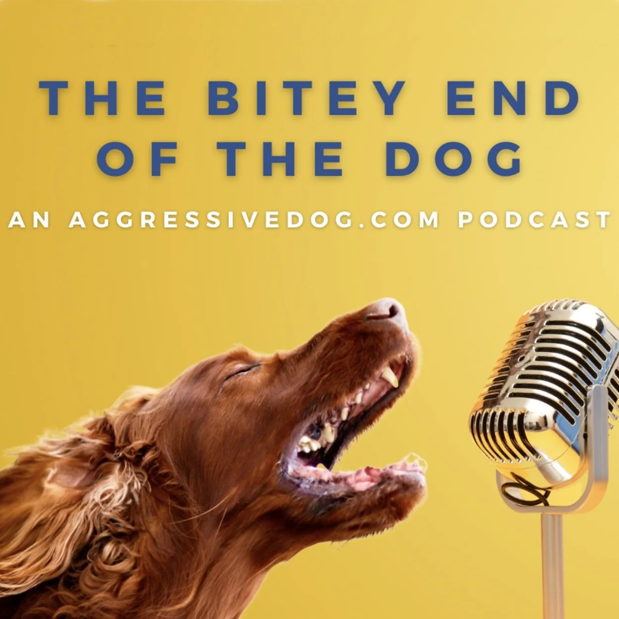 The Bitey End of the Dog podcast by Michael Shikashio is dedicated to helping dogs with aggression issues.