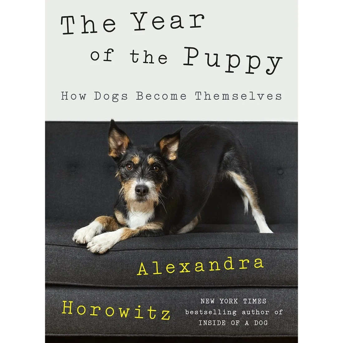 The Year of the Puppy: How Dogs Become Themselves by Alexandra Horowitz