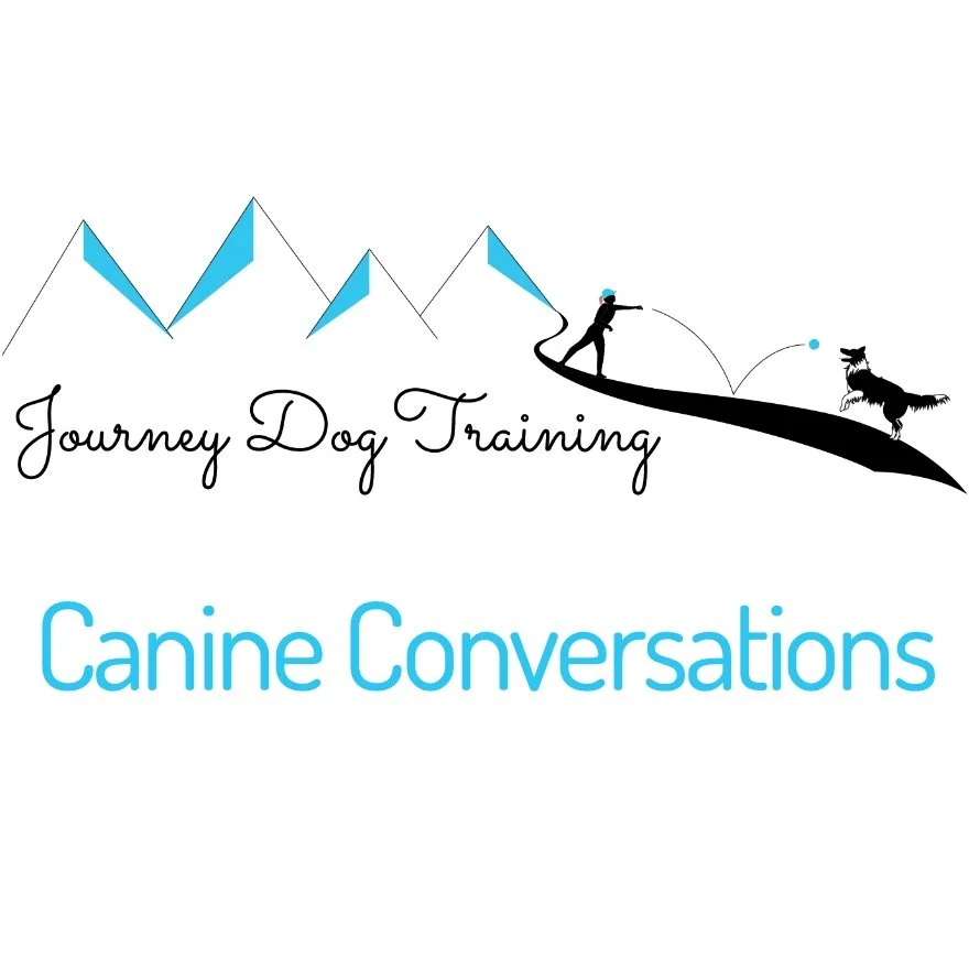 Get practical dog training advice and learn how to work with your dog better thanks to expert dog trainers - with a focus on problem behaviors for the most part.