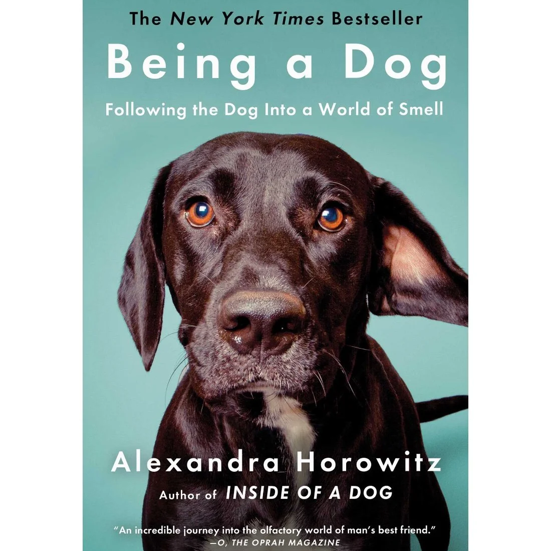 Being a Dog: Following the Dog Into a World of Smell by Alexandra Horowitz