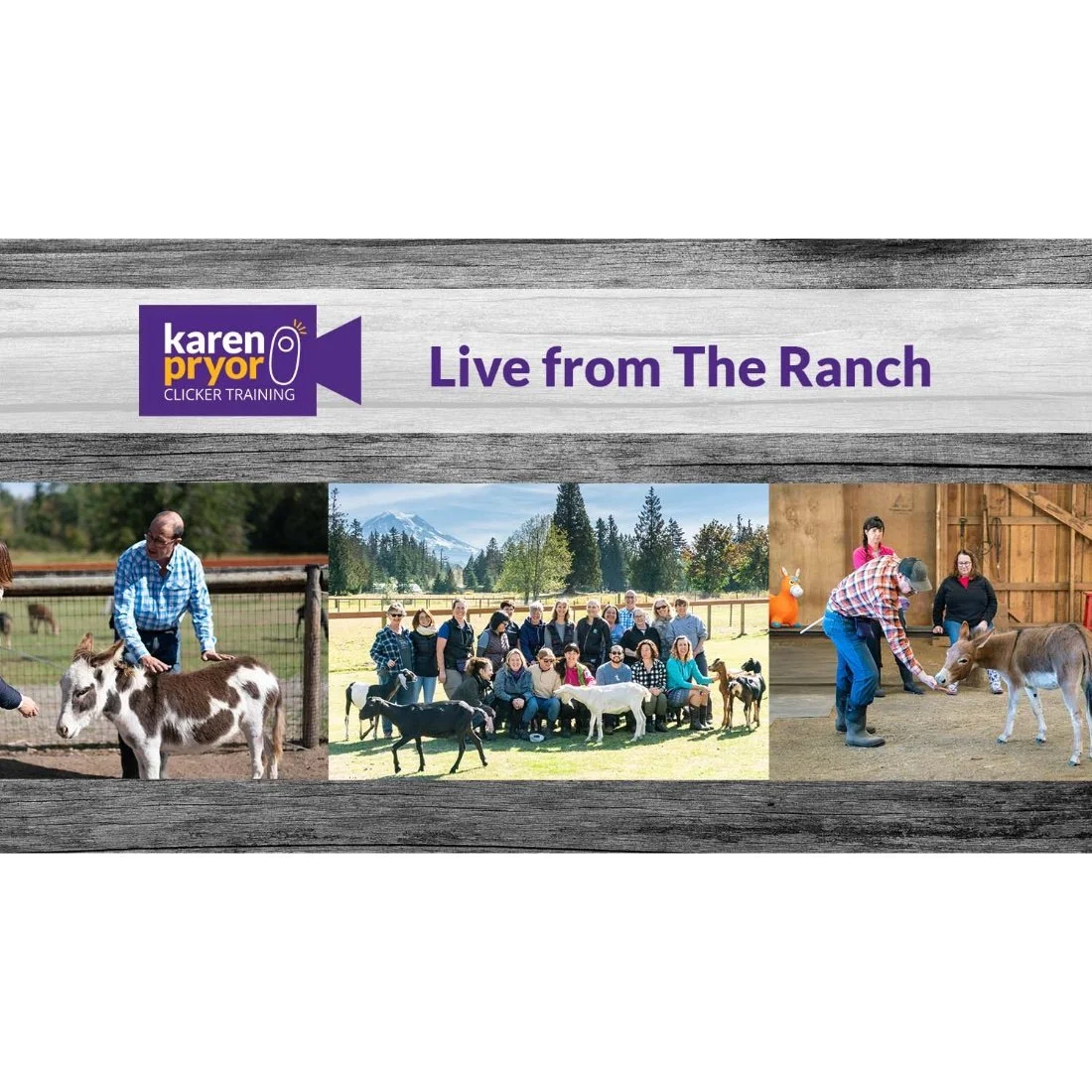 Ken shares his expertise and includes a variety of demos with help from the animals at The Ranch.