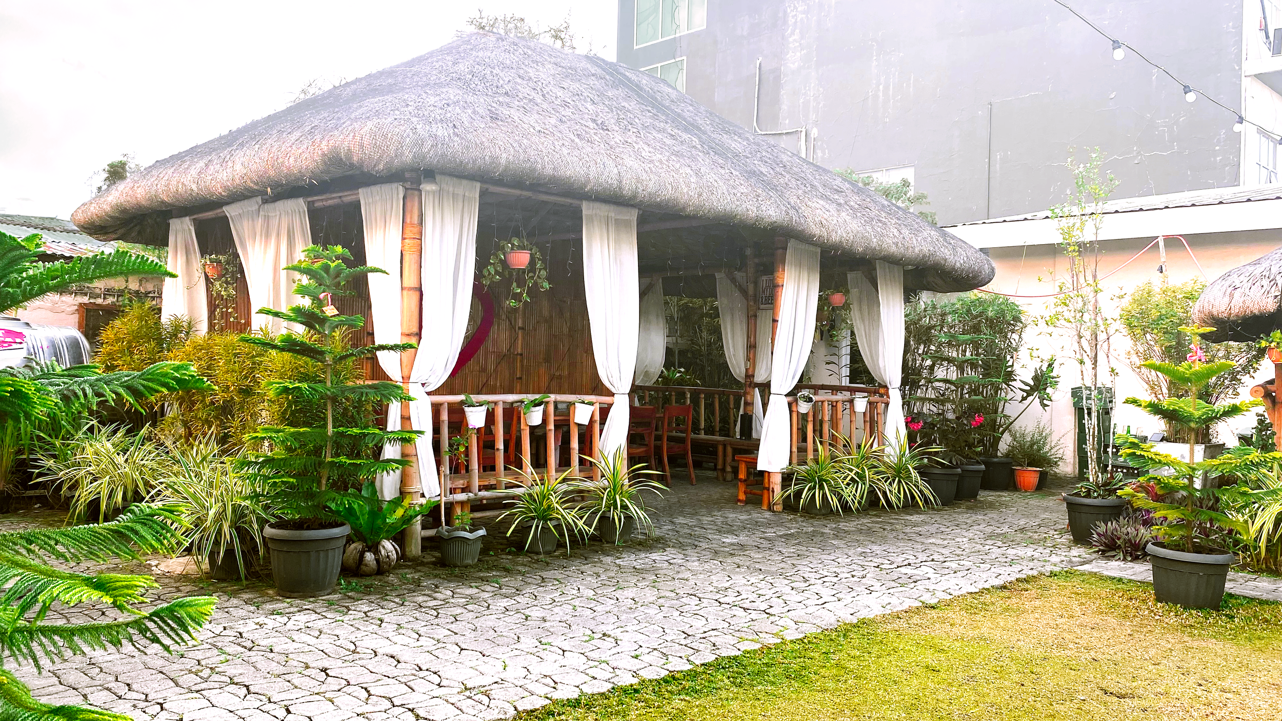 Outdoor patio with thatched roof hut and white curtains, surrounded by potted plants and greenery, on a cobblestone ground.
