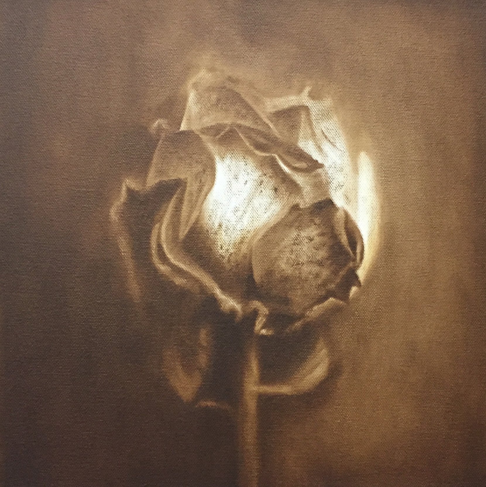 Dead Rose