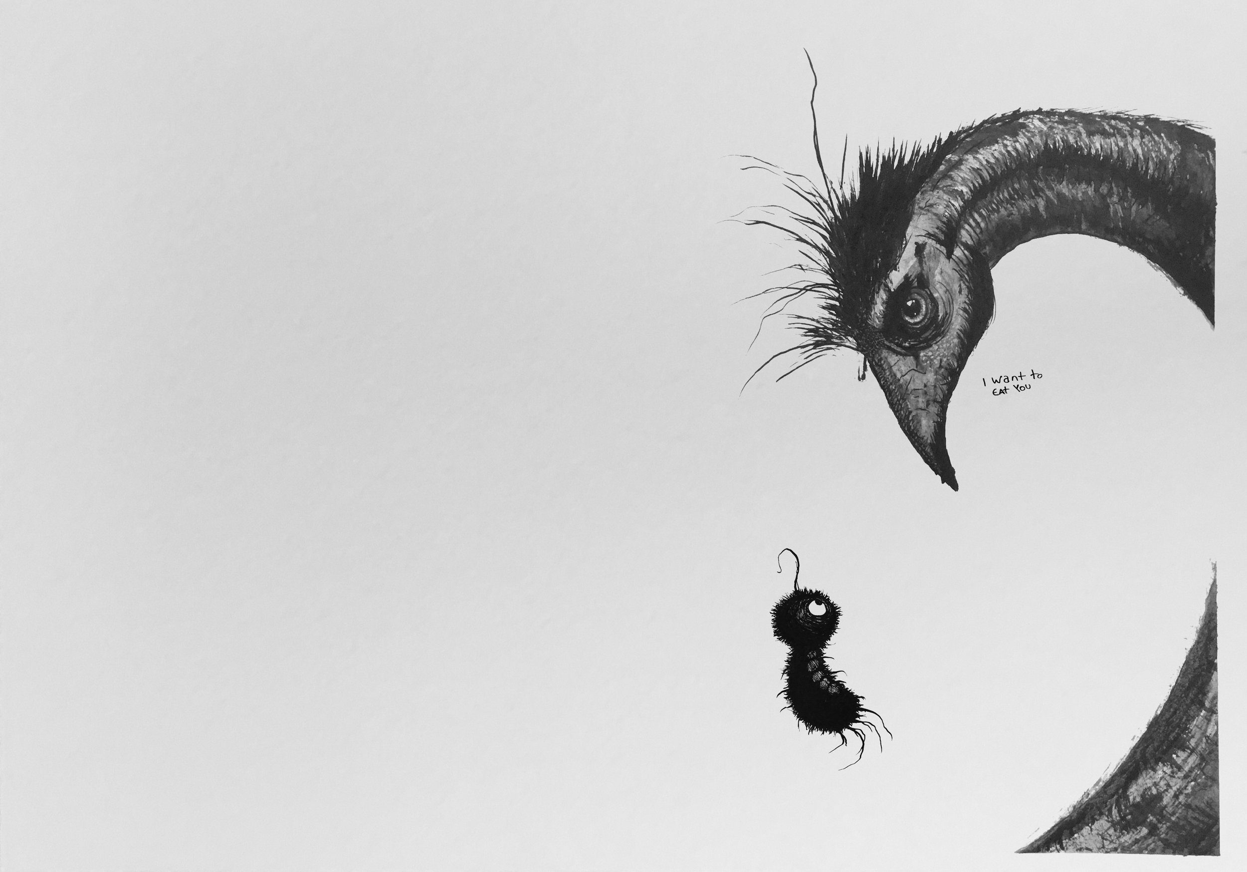 WORM and bird
