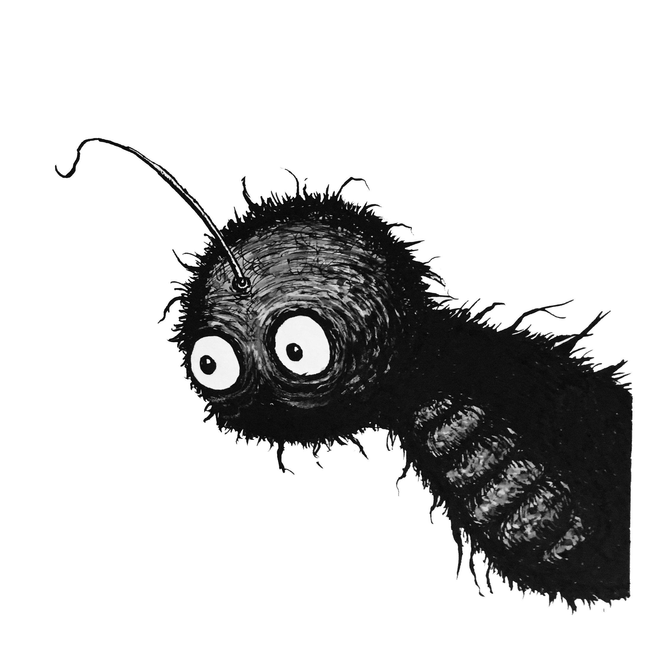 WORM Peeking