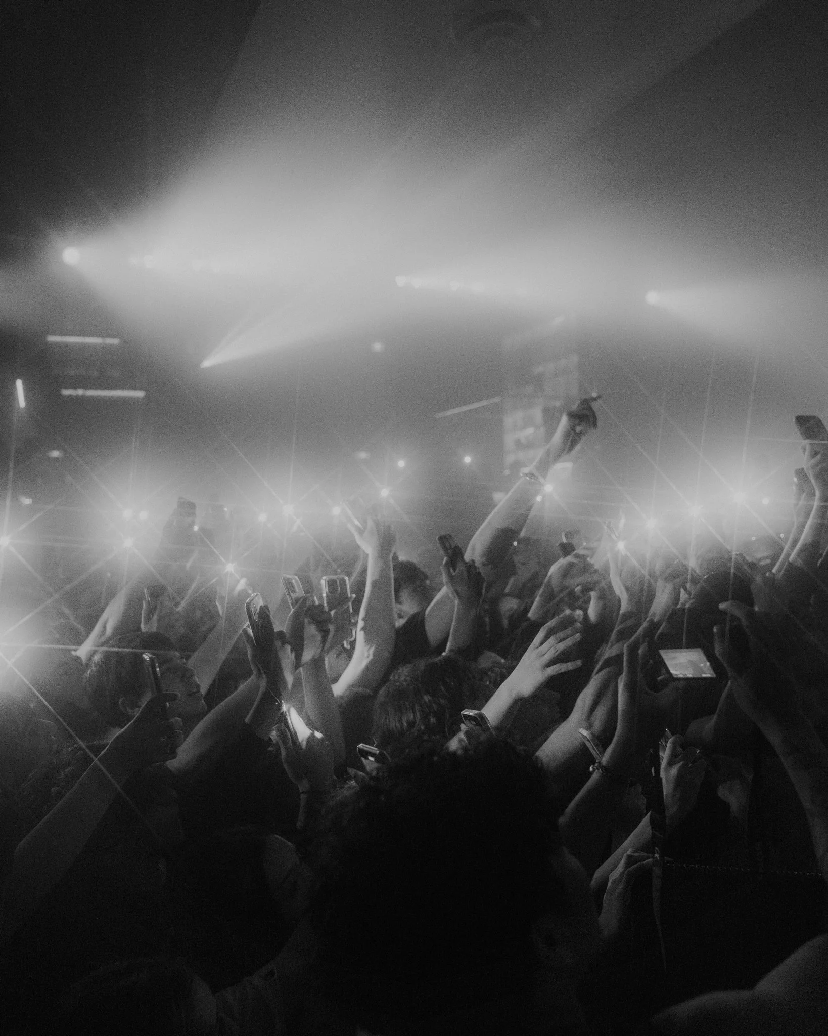 Tracy Moromisato Photography - Live -10.jpg