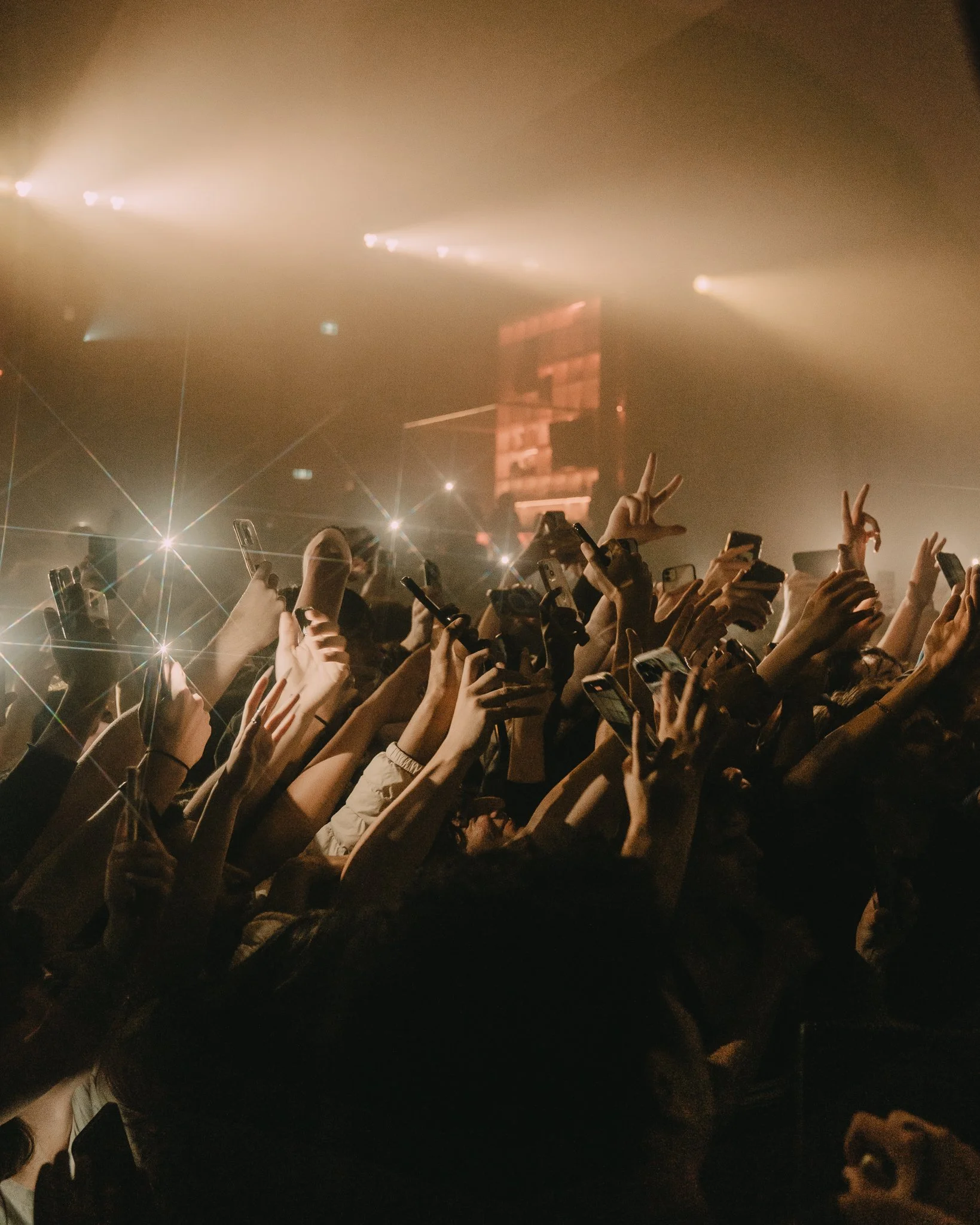 Tracy Moromisato Photography - Live -8.jpg