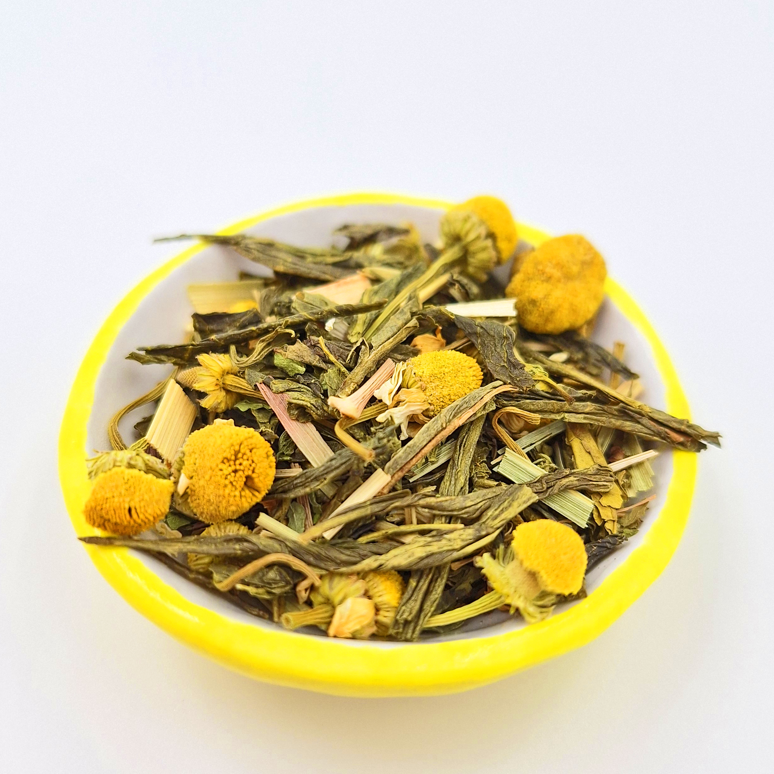 20240901_141729 no logo.png