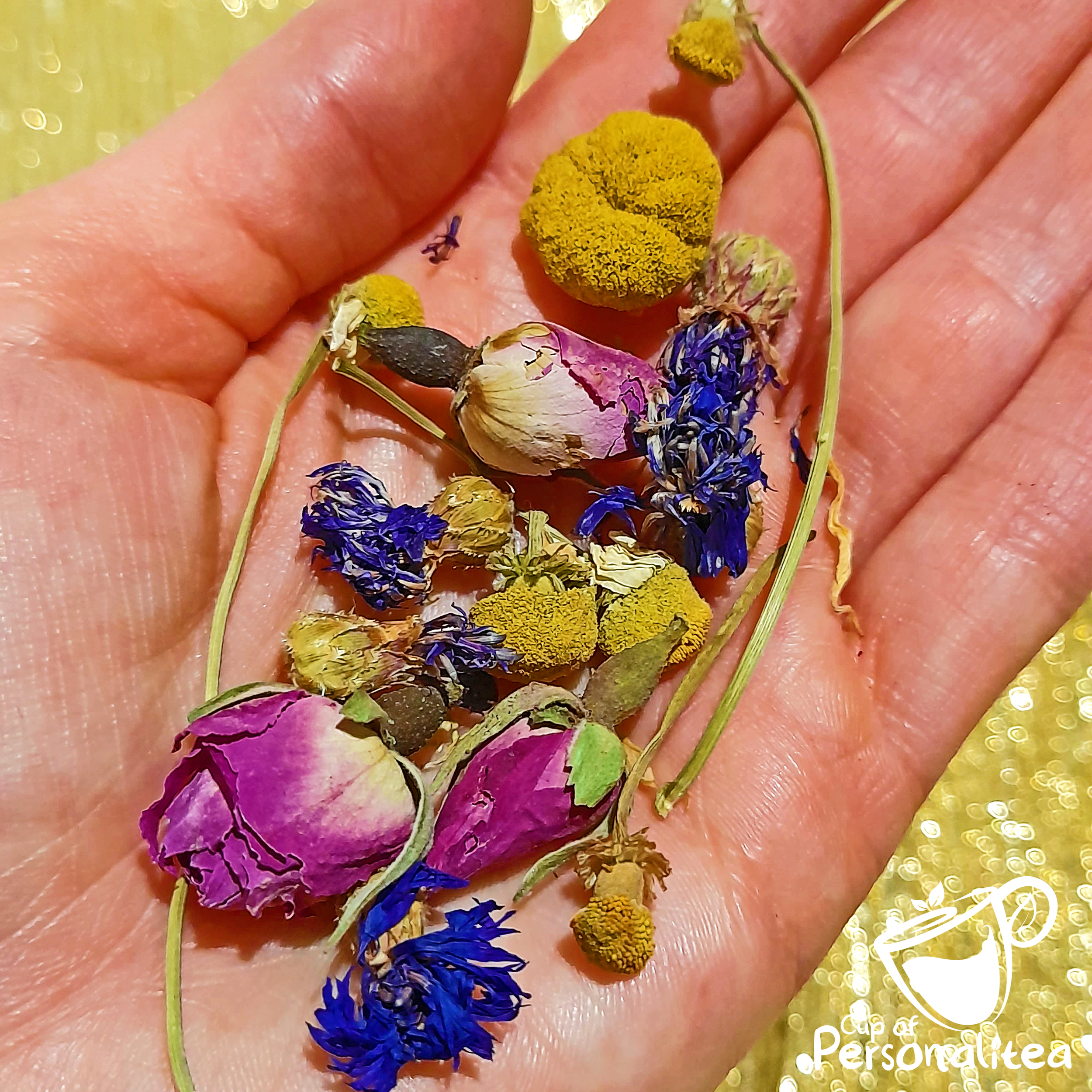 Gems and Jewels (14logo).png