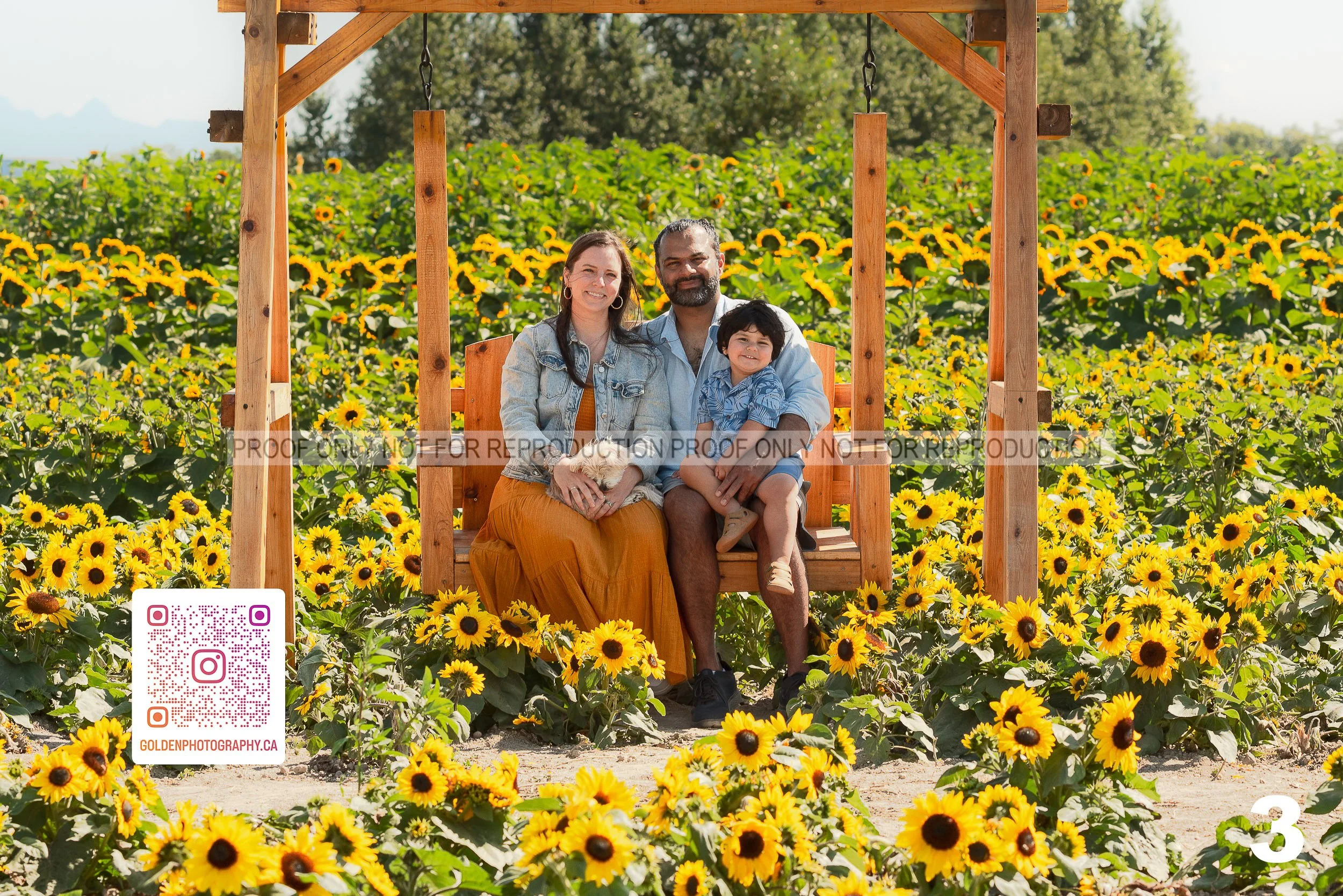 Sunflower Proofs (03 of 40).jpg