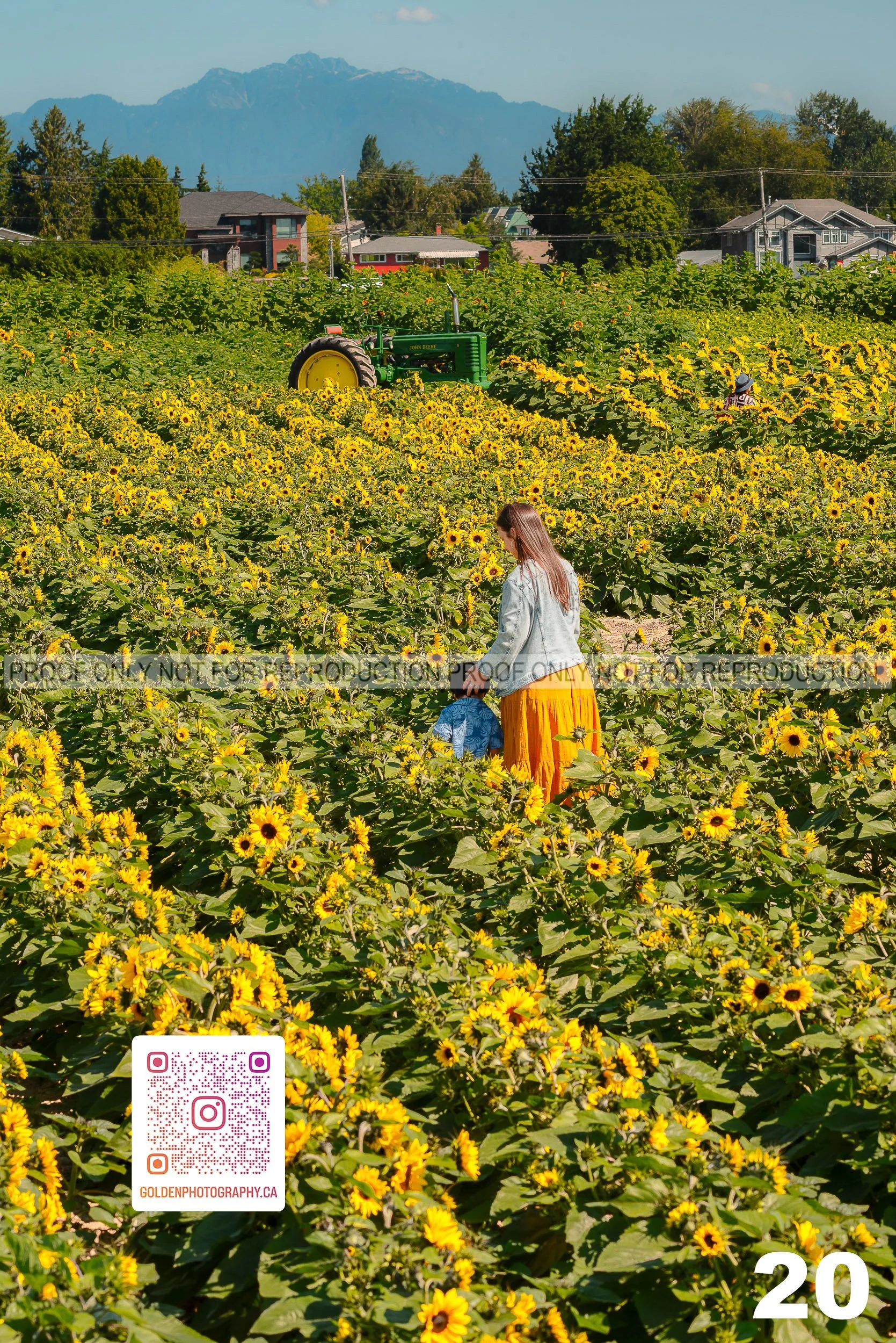 Sunflower Proofs (20 of 40).jpg