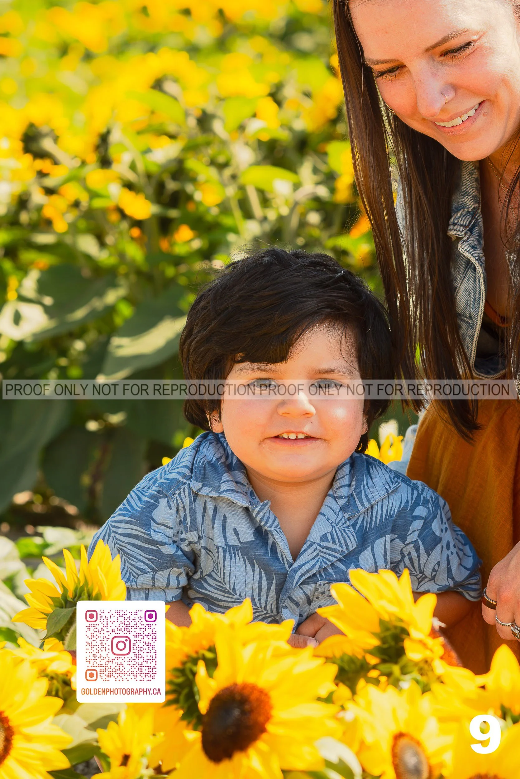 Sunflower Proofs (09 of 40).jpg