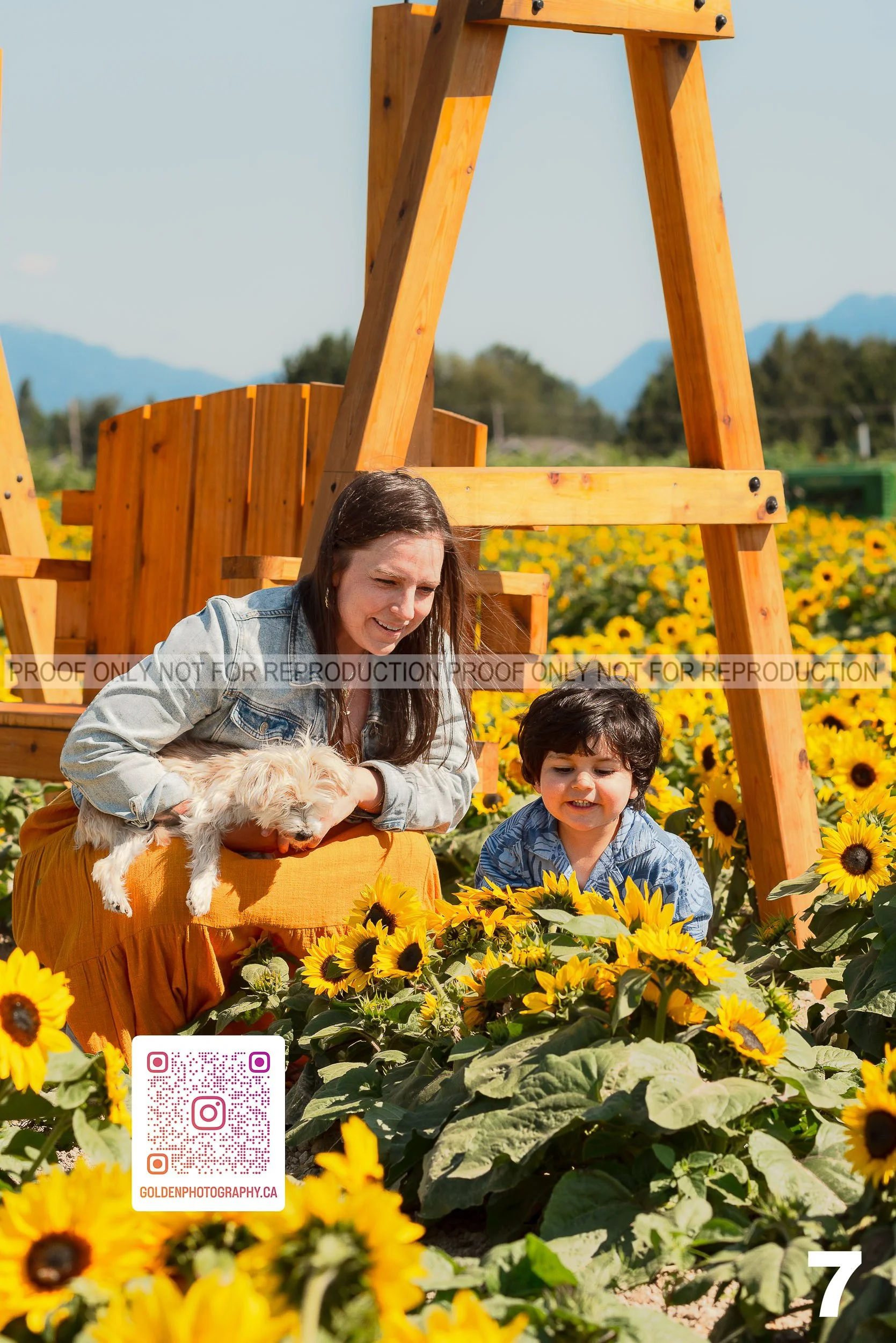 Sunflower Proofs (07 of 40).jpg