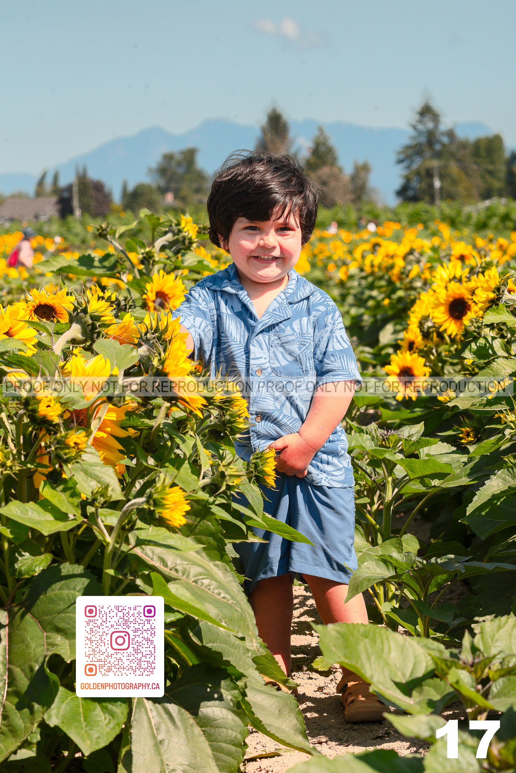 Sunflower Proofs (17 of 40).jpg